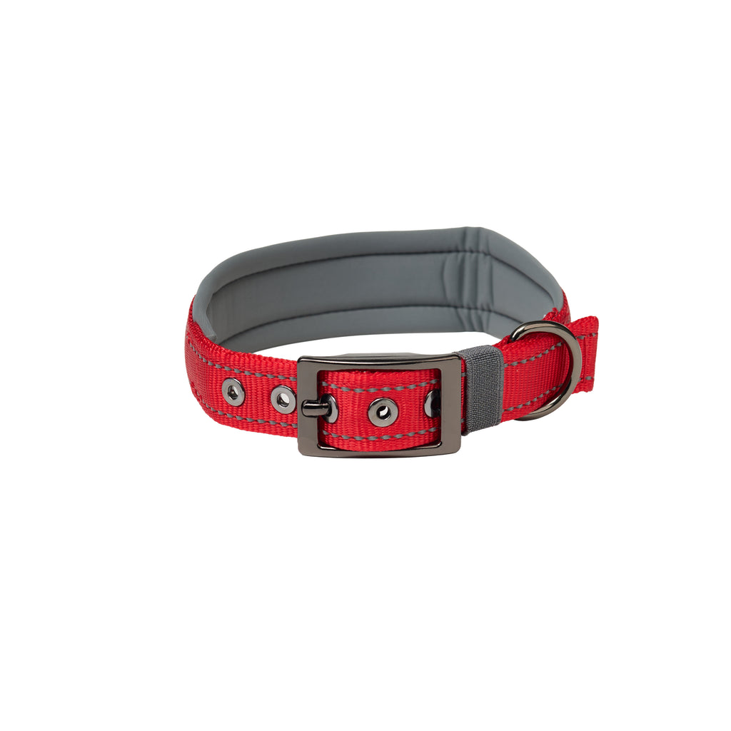 Padded Reflective Dog Collar