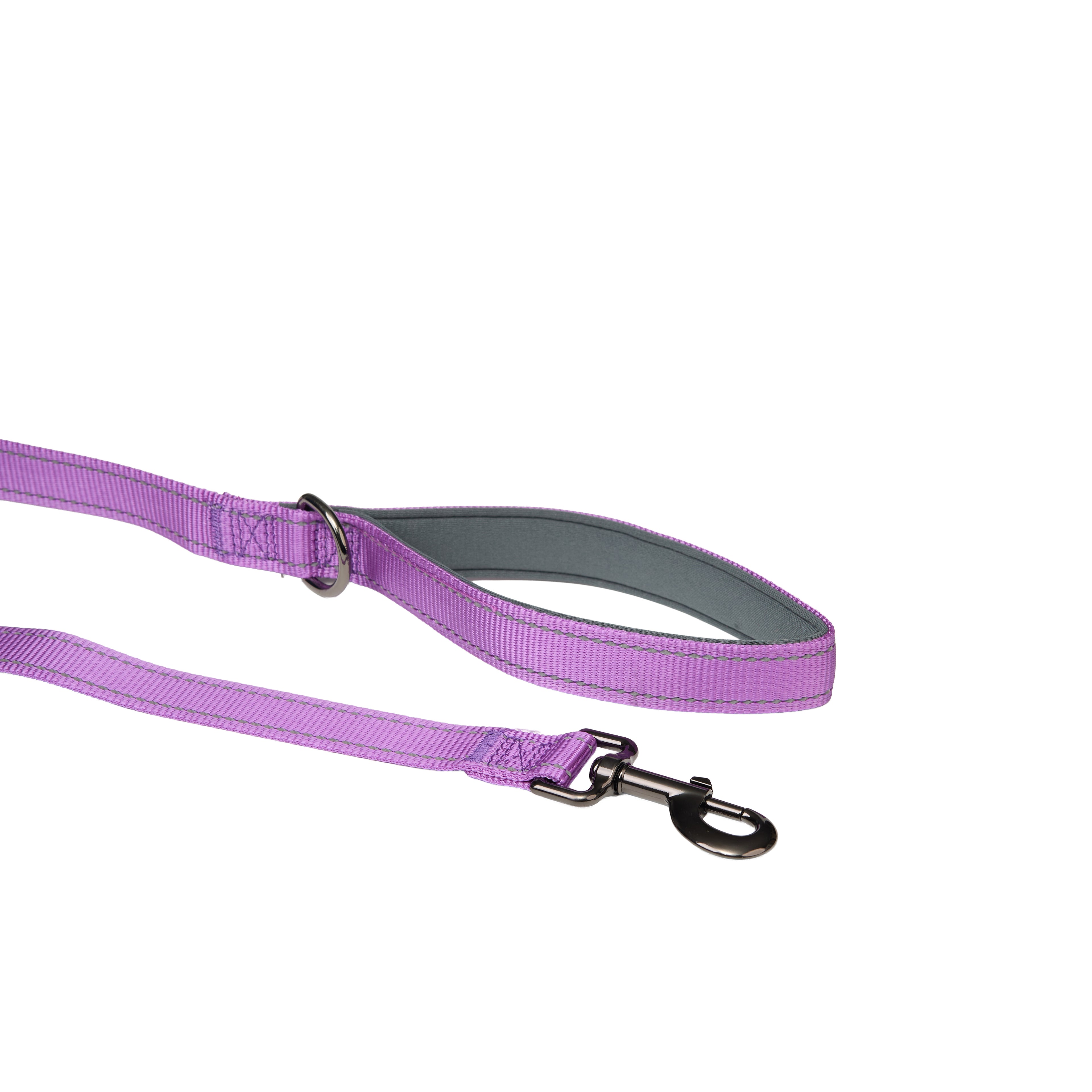 Padded Reflective Dog Leash