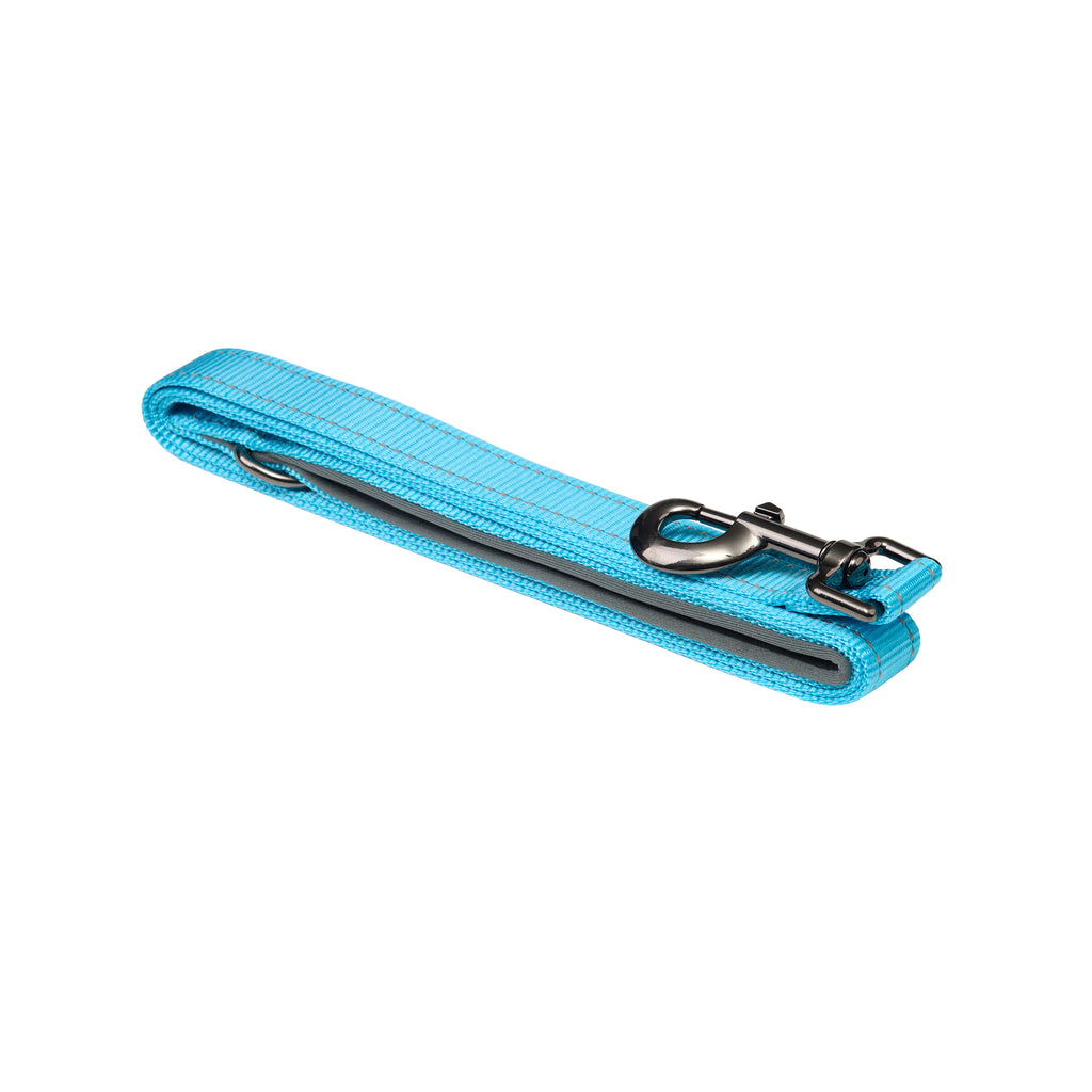 Padded Reflective Dog Leash
