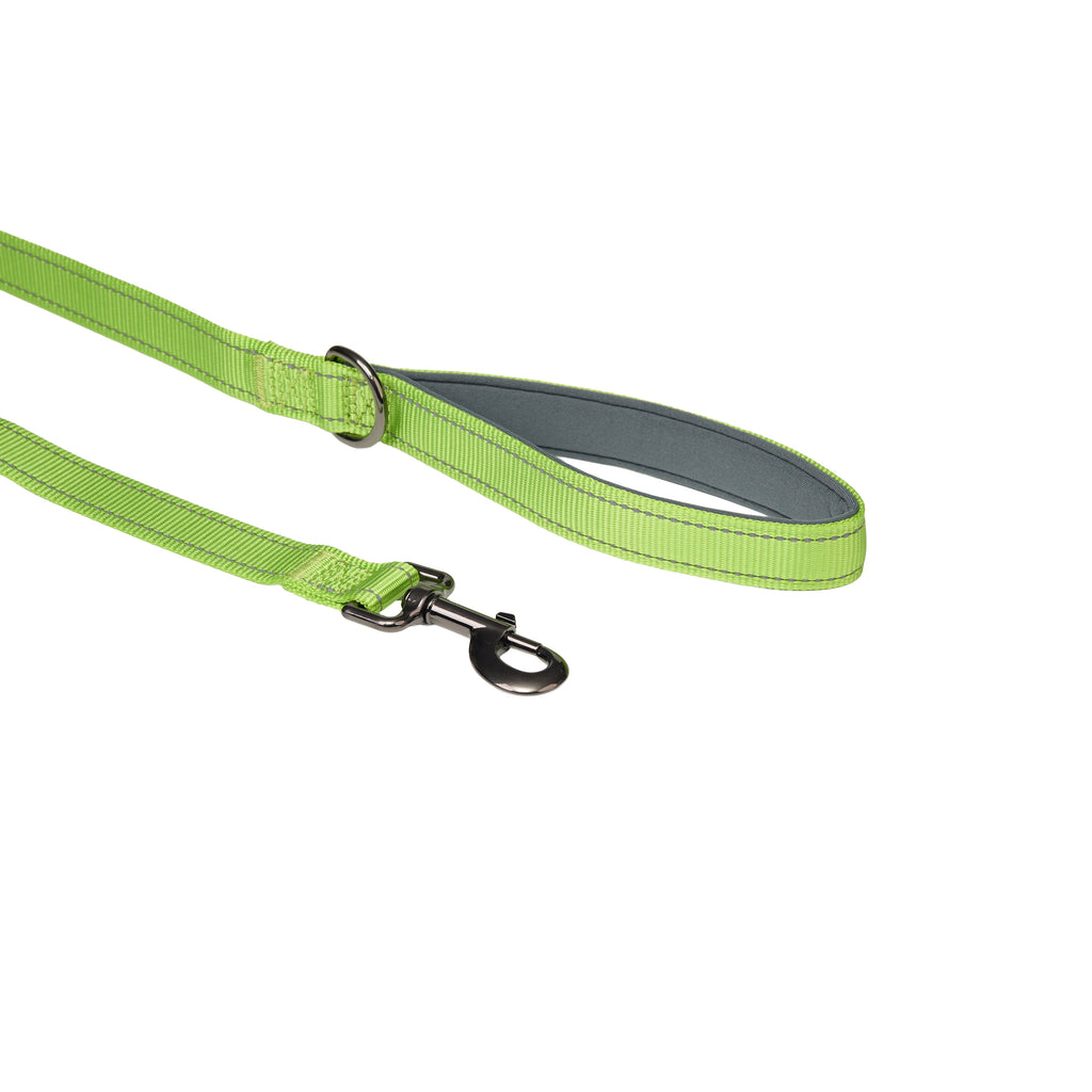Padded Reflective Dog Leash