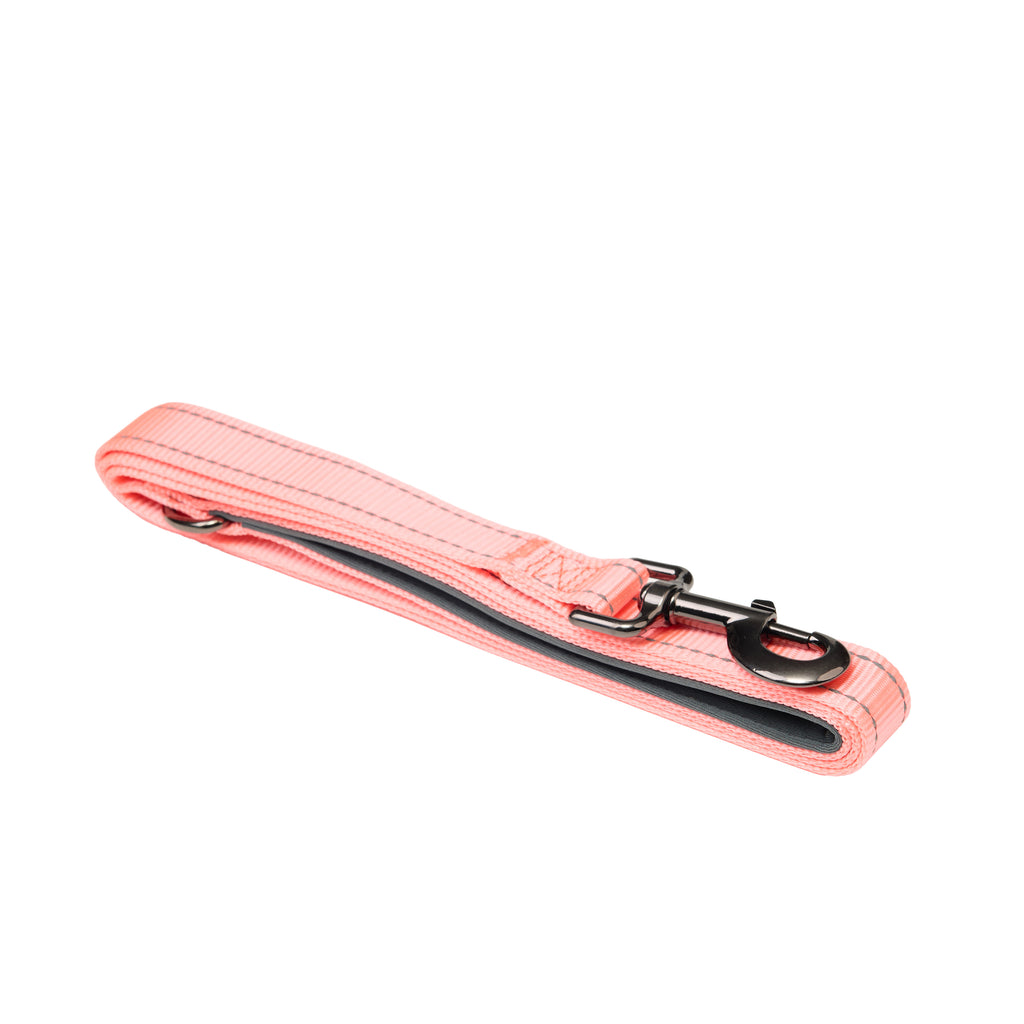 Padded Reflective Dog Leash