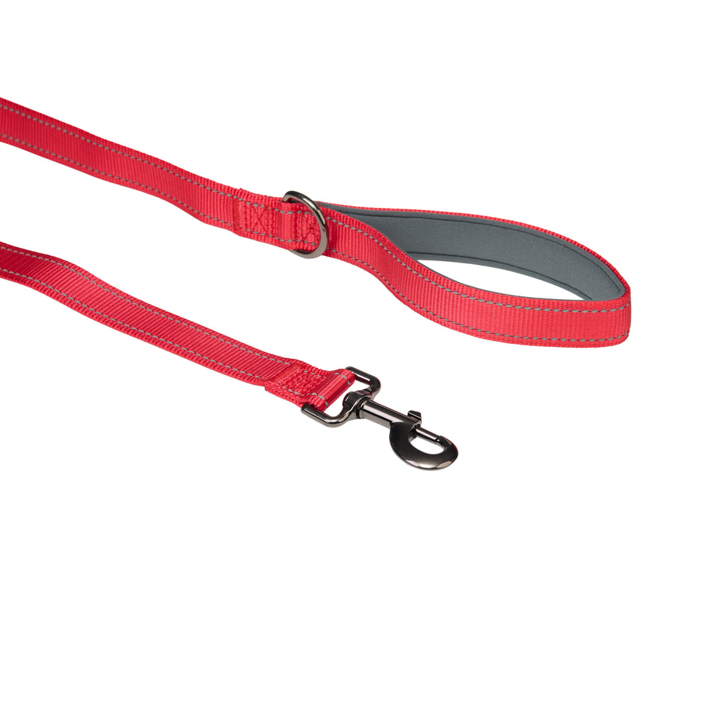 Padded Reflective Dog Leash