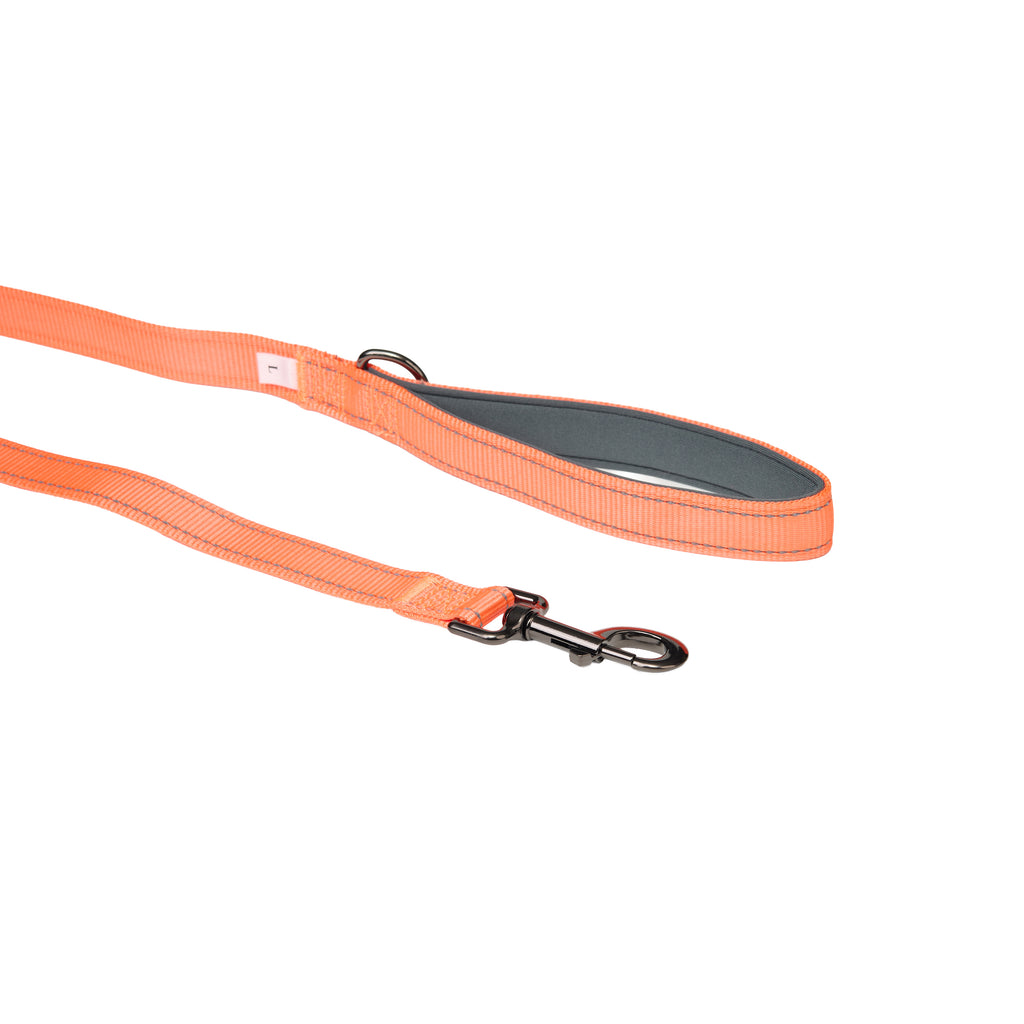 Padded Reflective Dog Leash