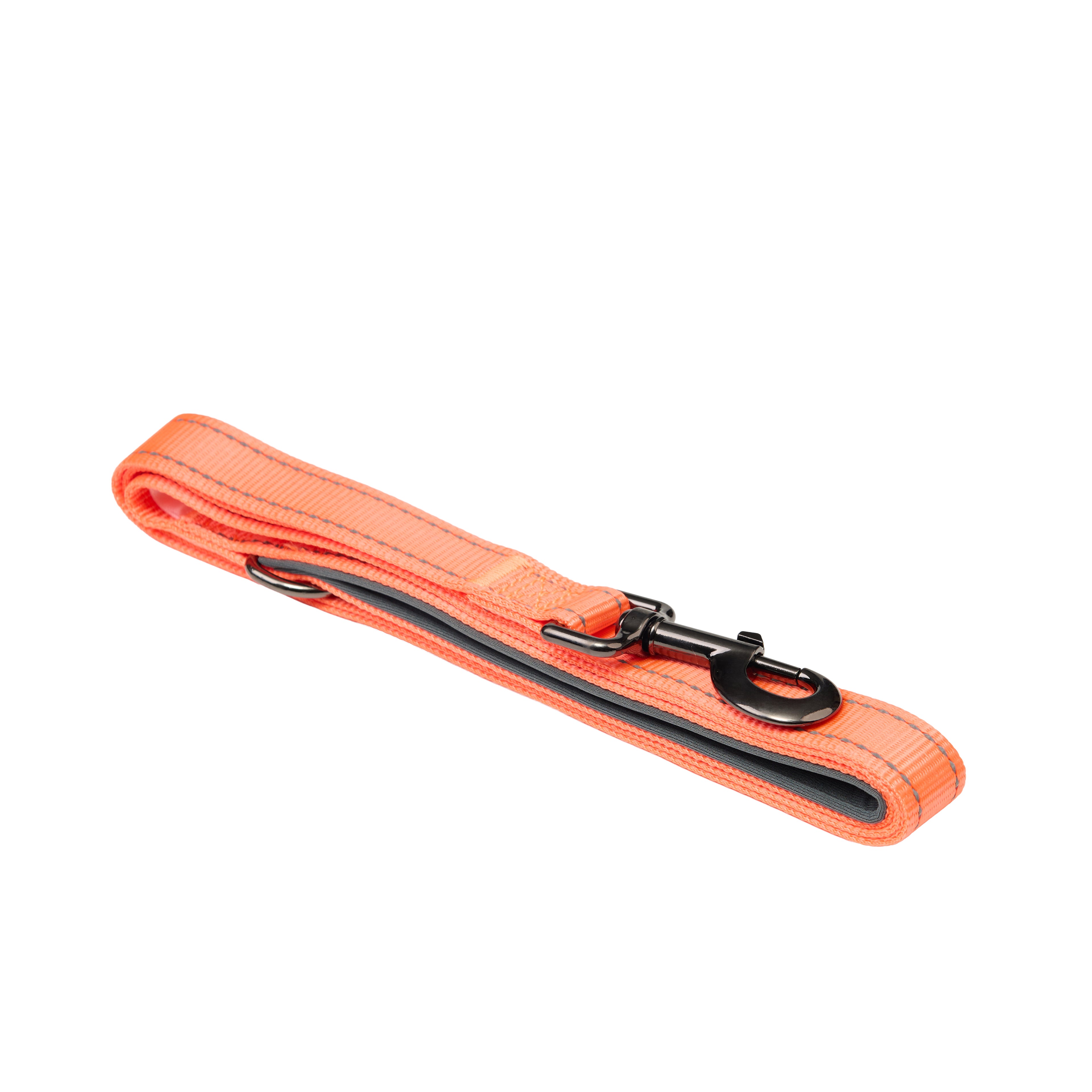 Padded Reflective Dog Leash