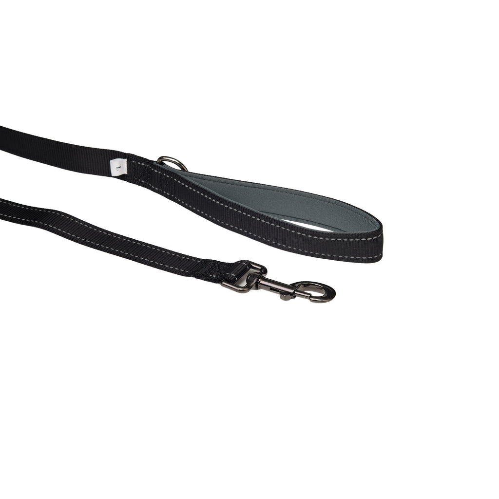 Padded Reflective Dog Leash