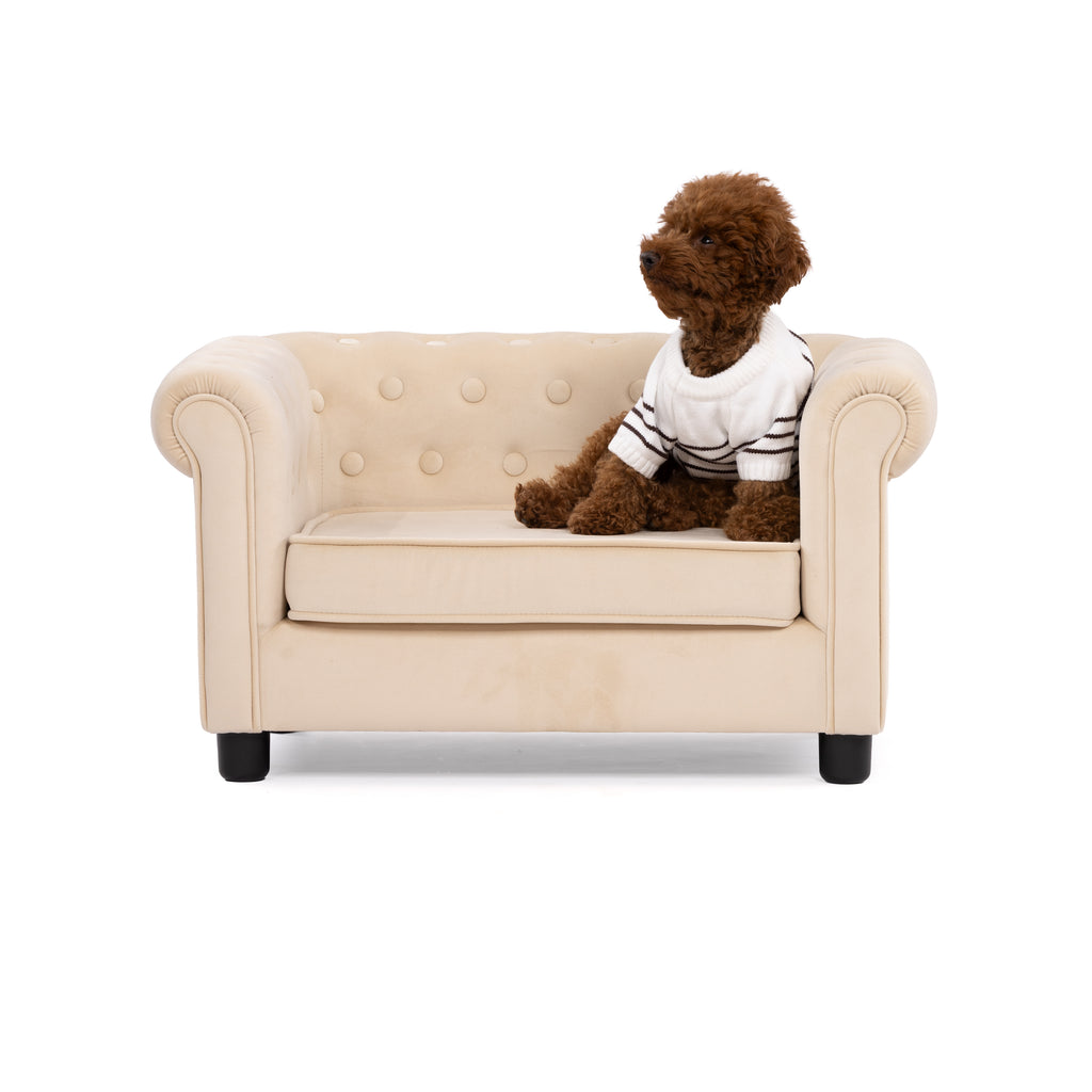 Classic Stripe Button-Back Pet Sweater – Cozy Winter Pullover