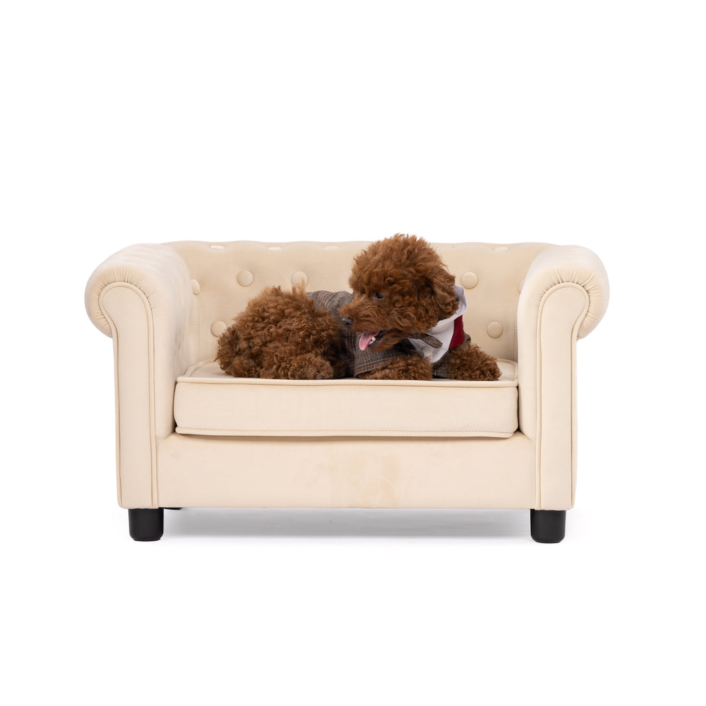 Classic Plaid Gentleman Pet Suit with Contrast Collar