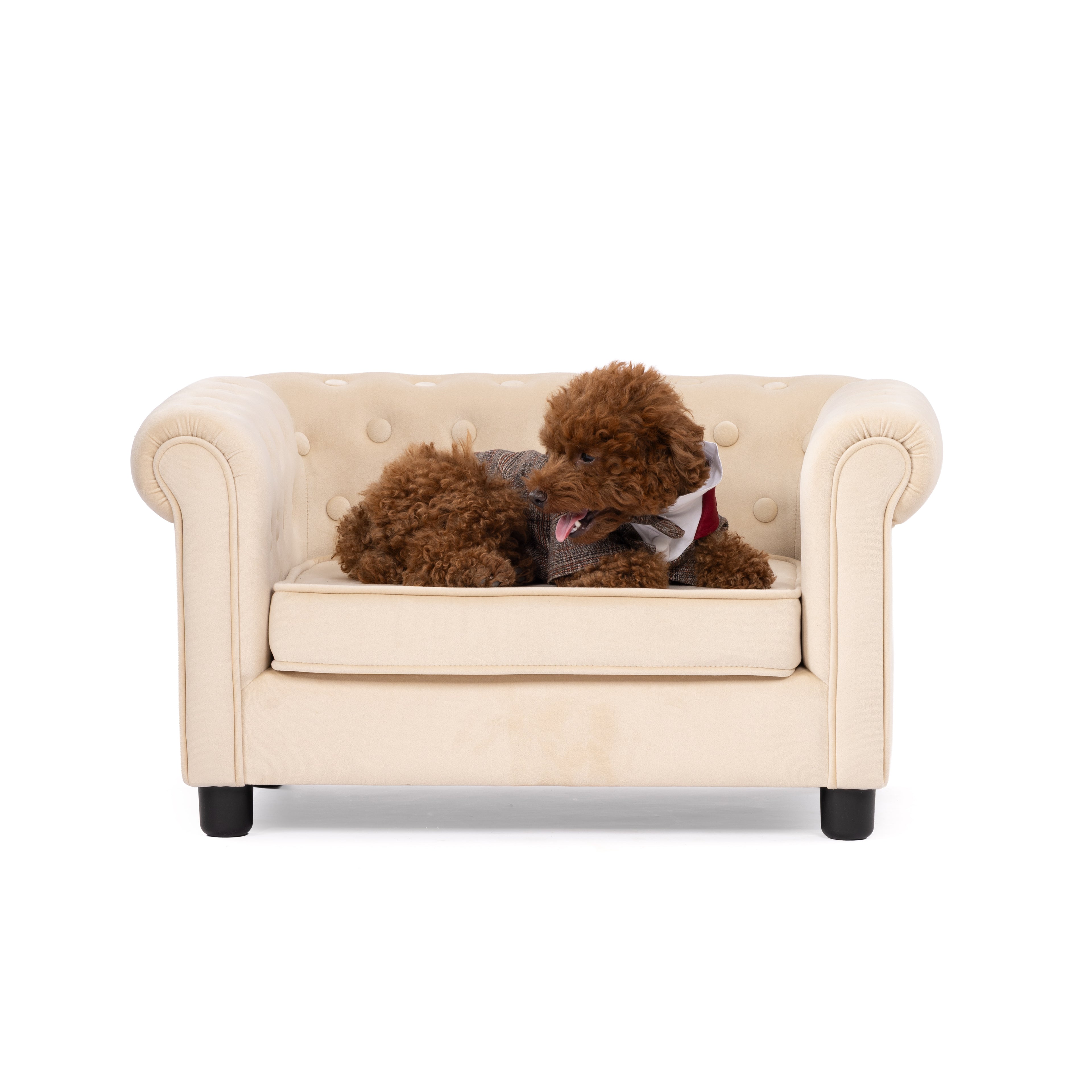 Classic Plaid Gentleman Pet Suit with Contrast Collar