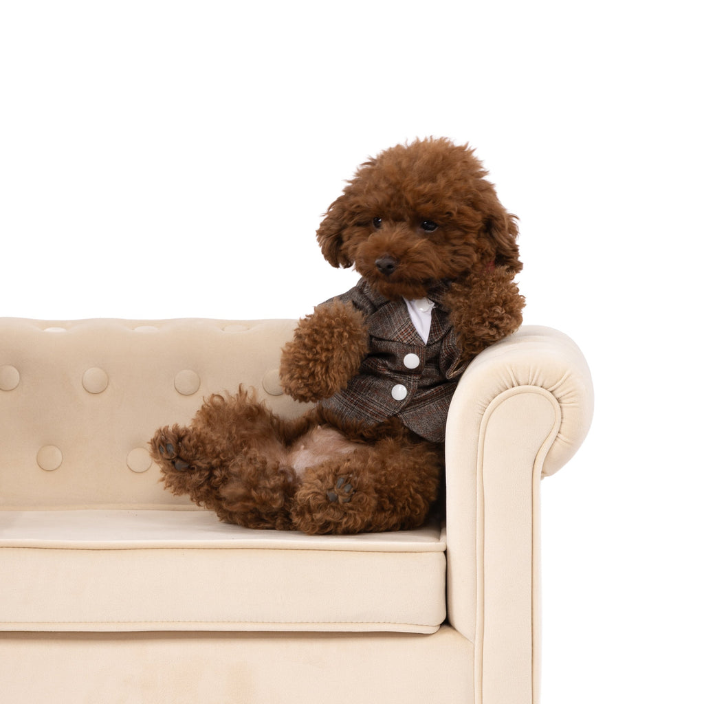 Classic Plaid Gentleman Pet Suit with Contrast Collar