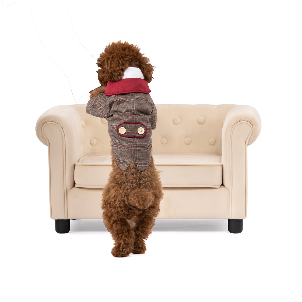 Classic Plaid Gentleman Pet Suit with Contrast Collar