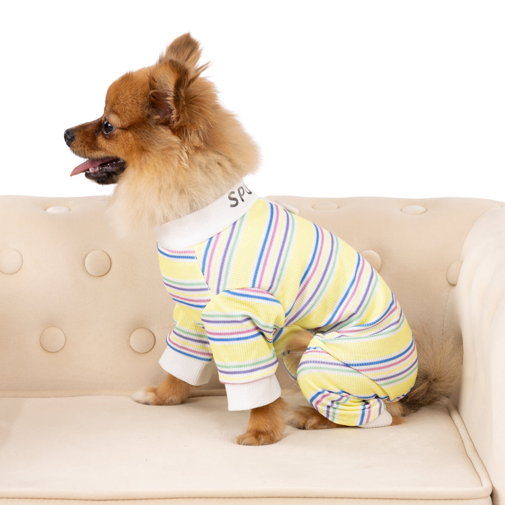 Rainbow Stripe Cozy Pet Jumpsuit