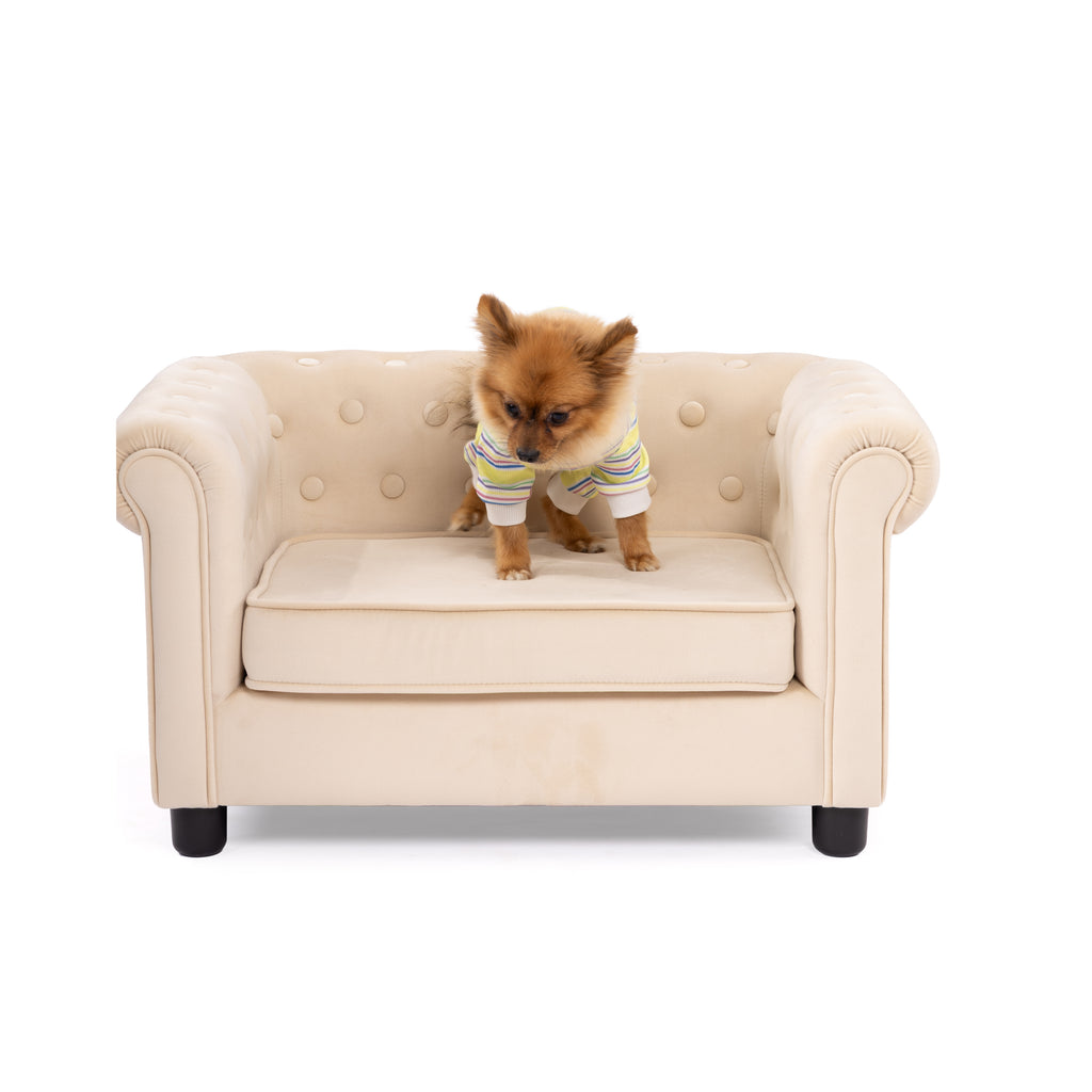 Rainbow Stripe Cozy Pet Jumpsuit