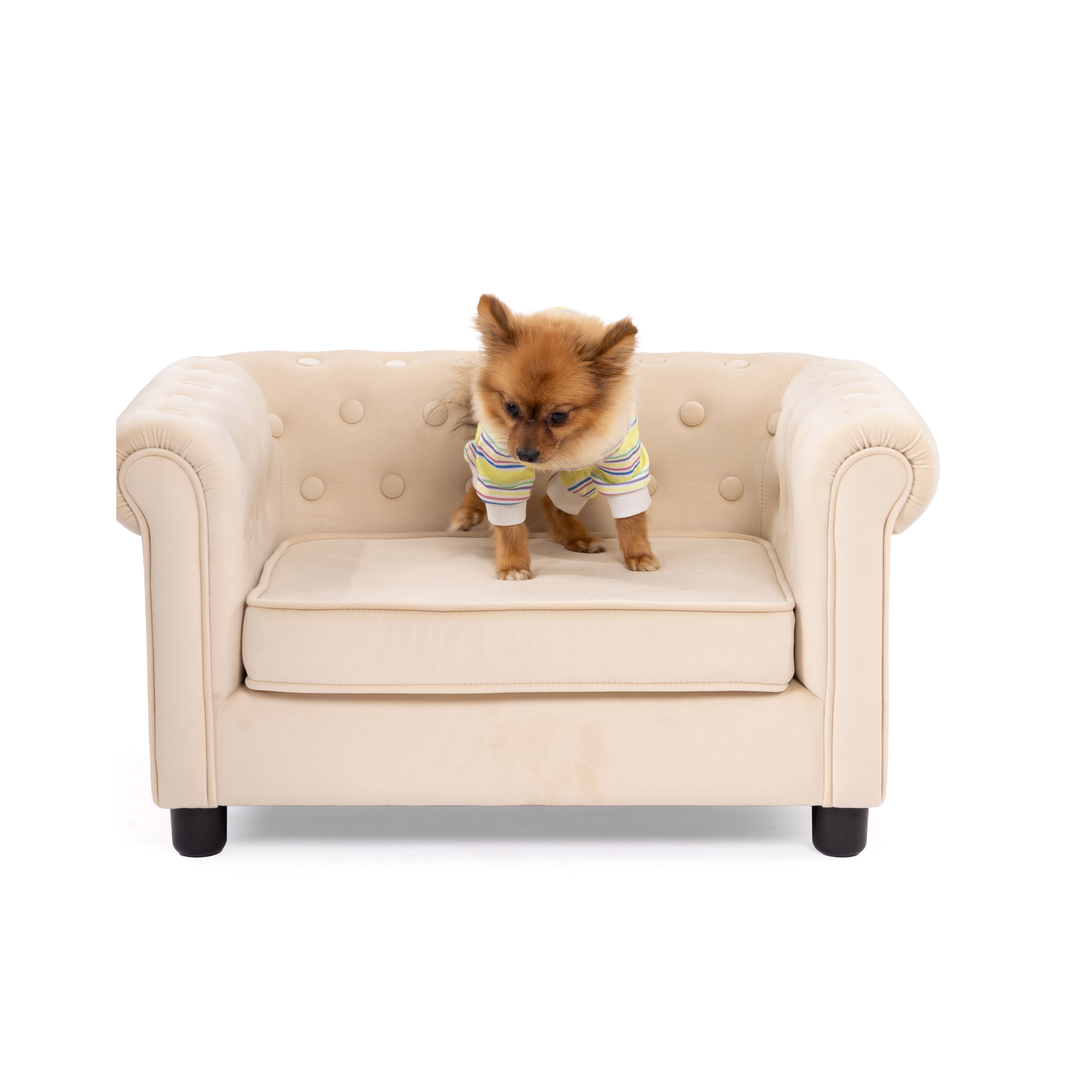 Rainbow Stripe Cozy Pet Jumpsuit