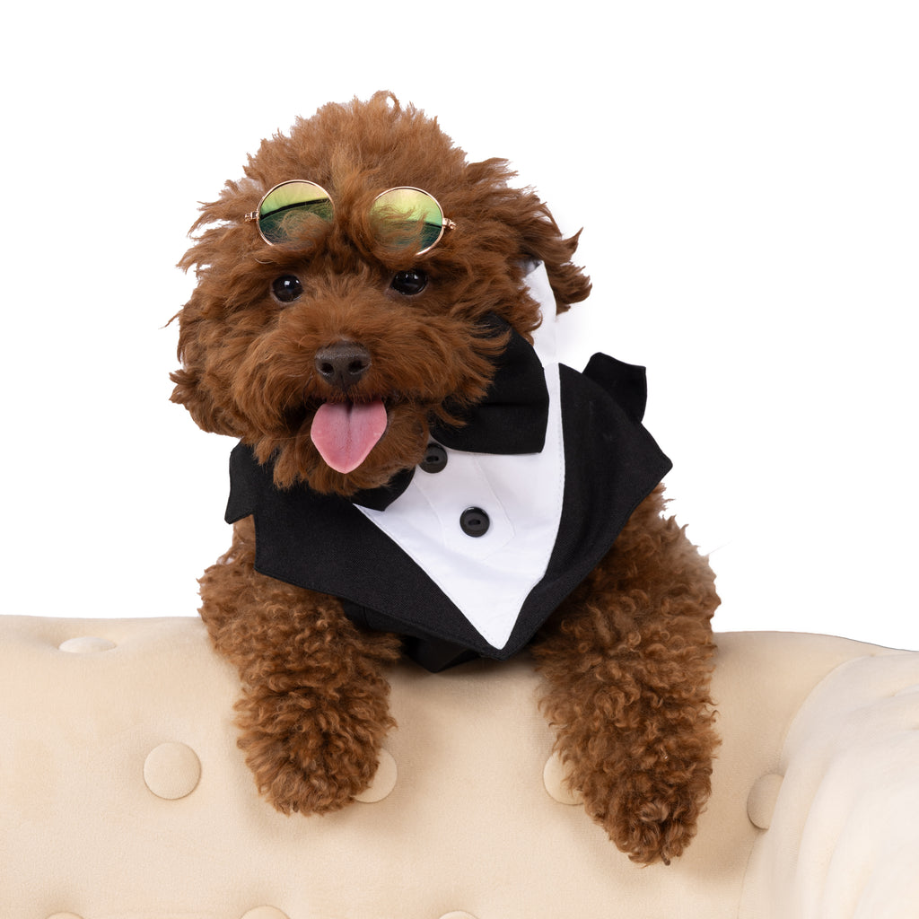 Classic Tuxedo Dog Outfit with Bow Tie