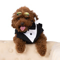 Classic Tuxedo Dog Outfit with Bow Tie