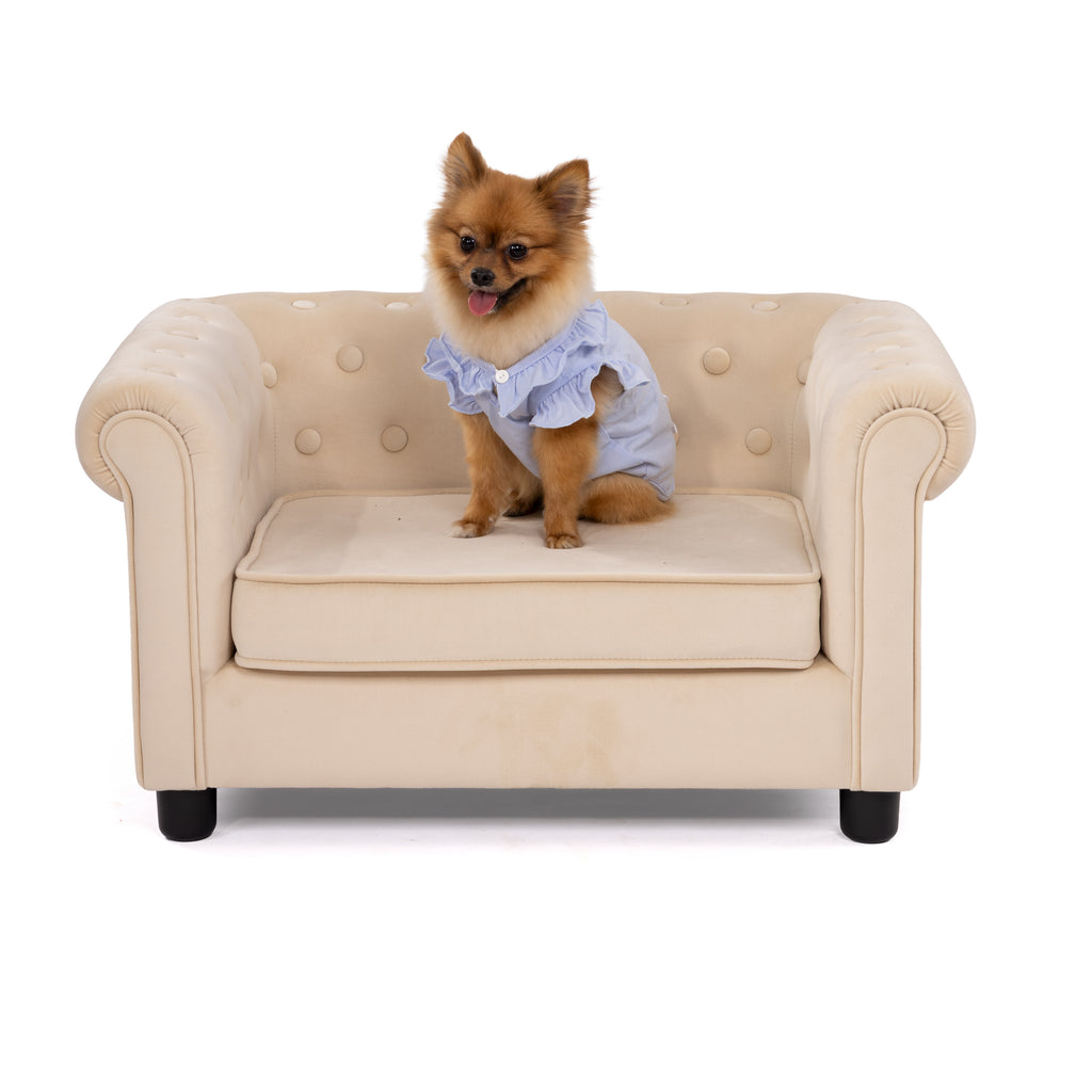 Fairy Tale Frill Pet Dress – Soft Ruffle Outfit