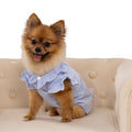 Fairy Tale Frill Pet Dress – Soft Ruffle Outfit