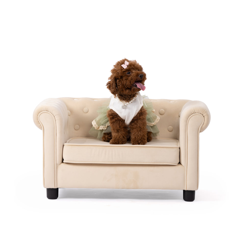 Blush Lace Princess Pet Dress