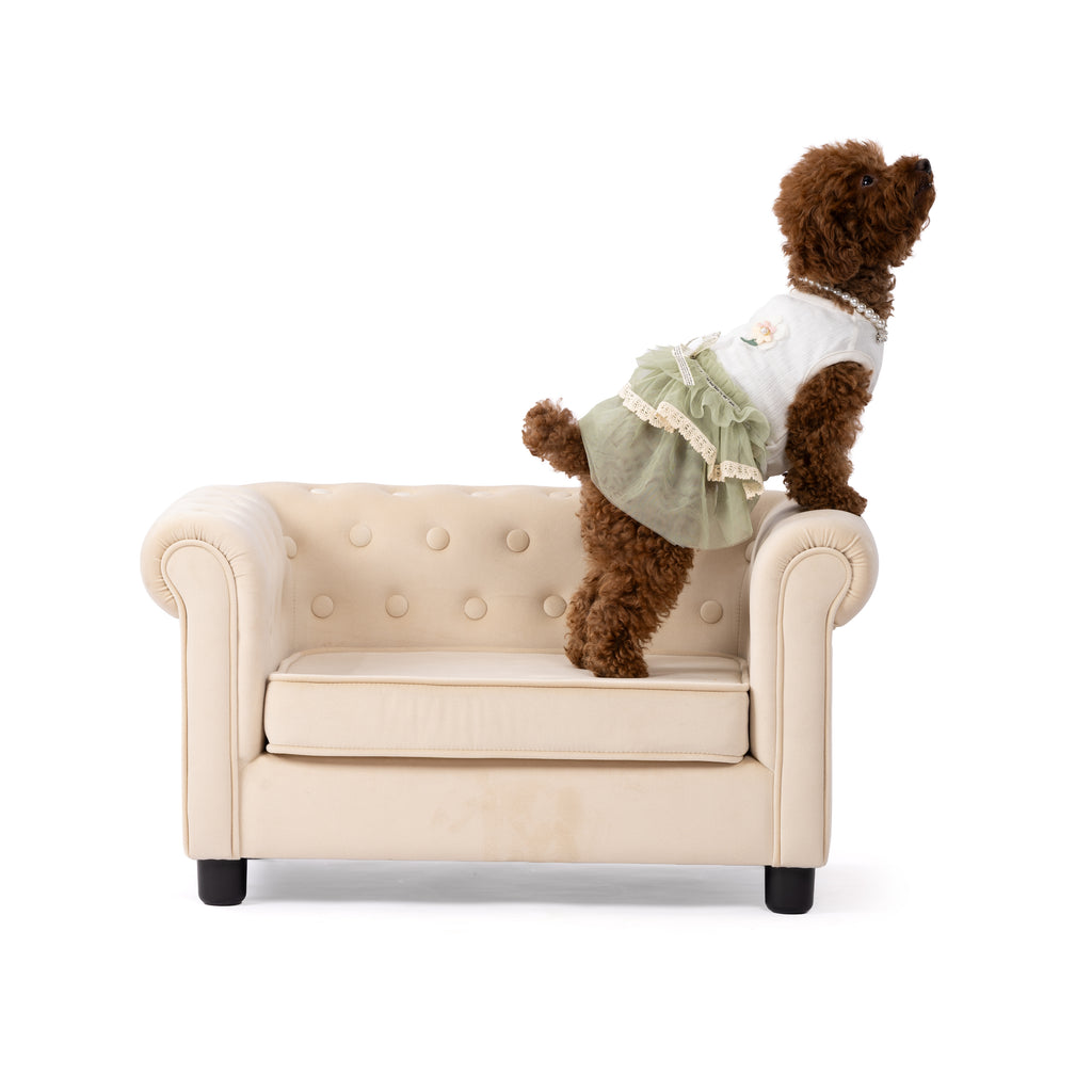 Blush Lace Princess Pet Dress