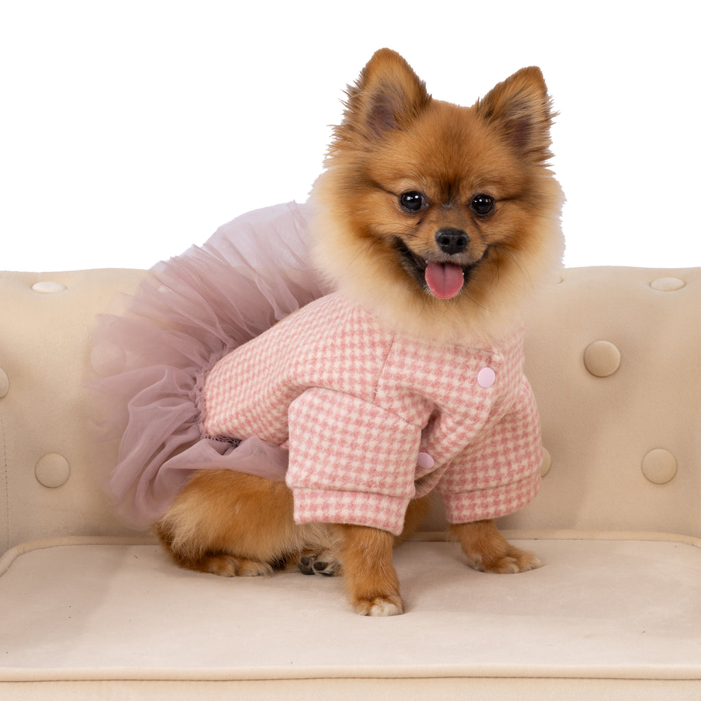 Blush Gingham Tulle Pet Dress