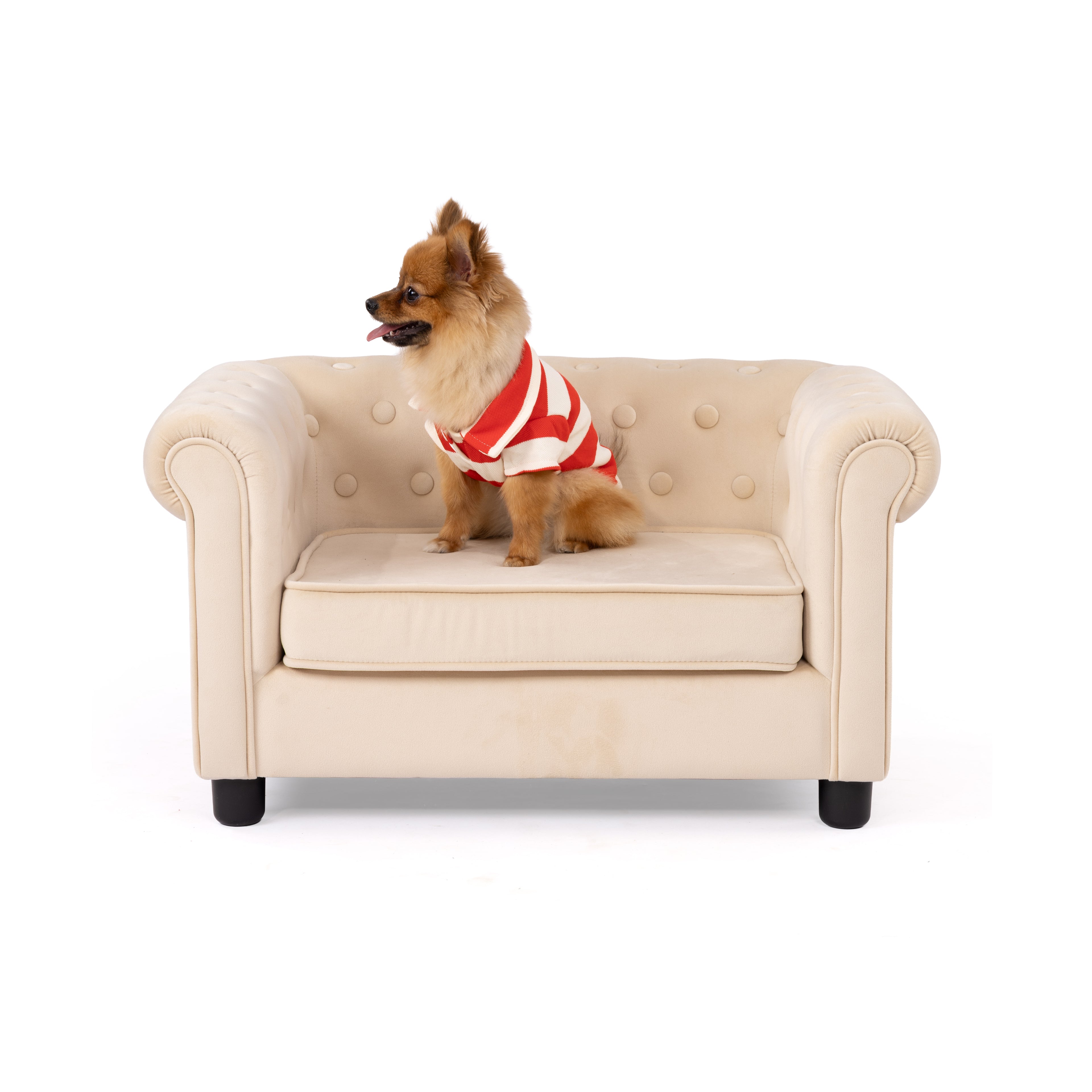 Stripe Pet Polo Shirt