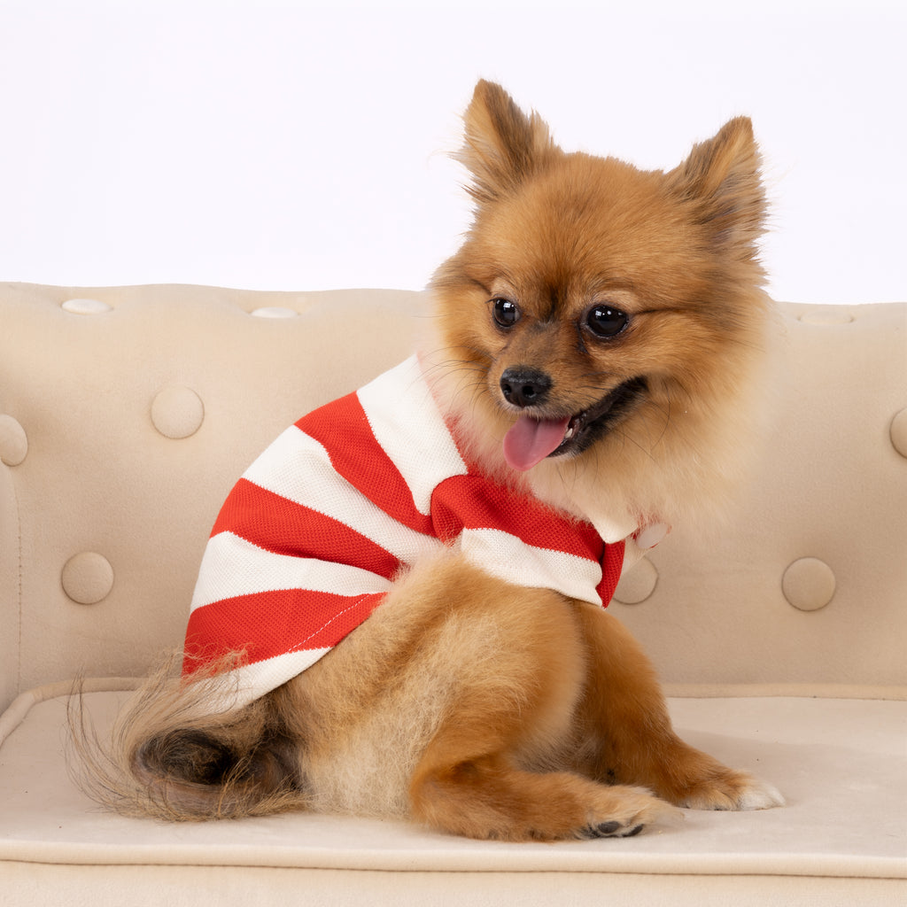 Stripe Pet Polo Shirt