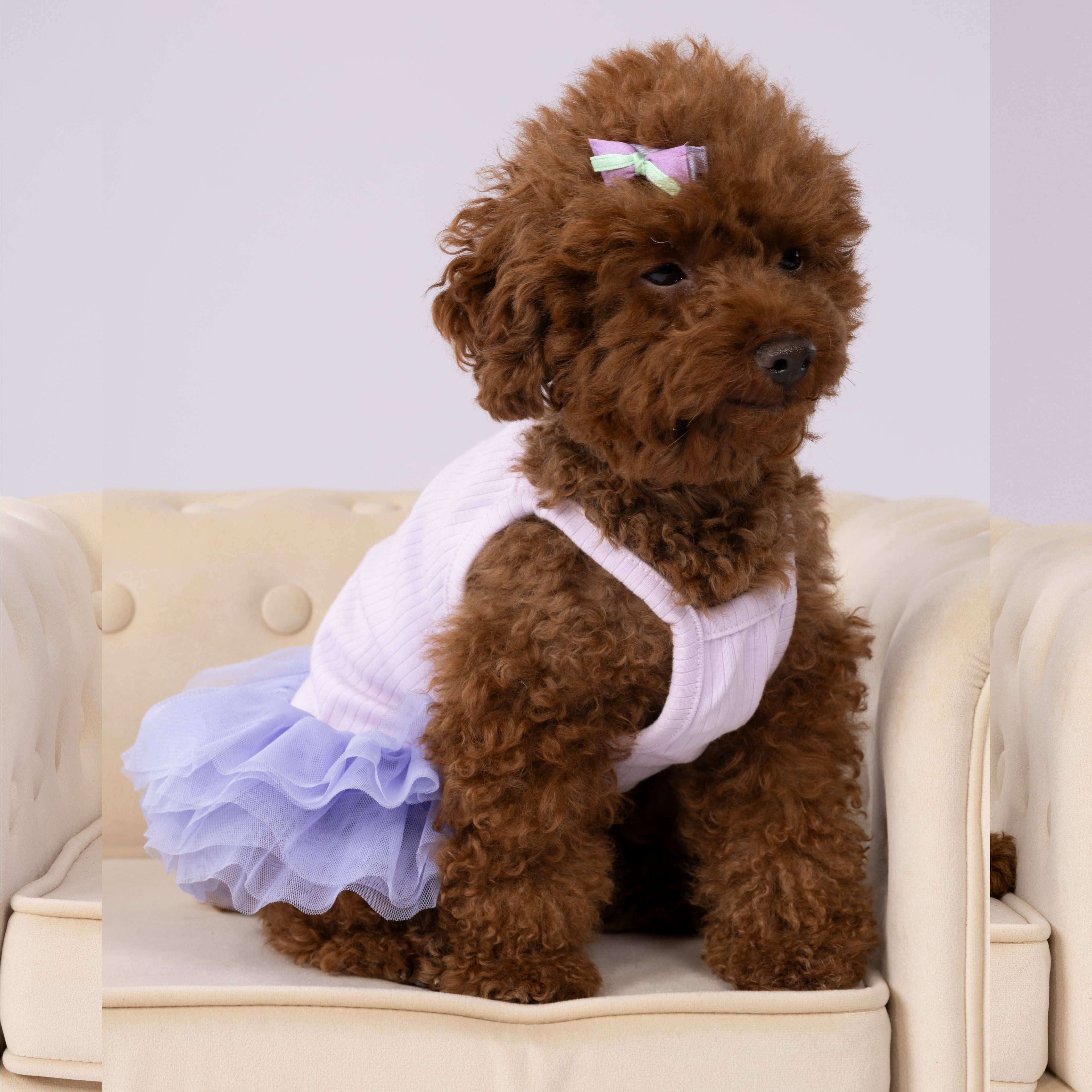Strappy Dress with Tutu Skirt for Pets