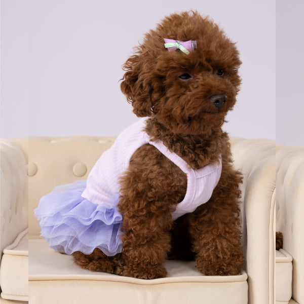 Strappy Dress with Tutu Skirt for Pets