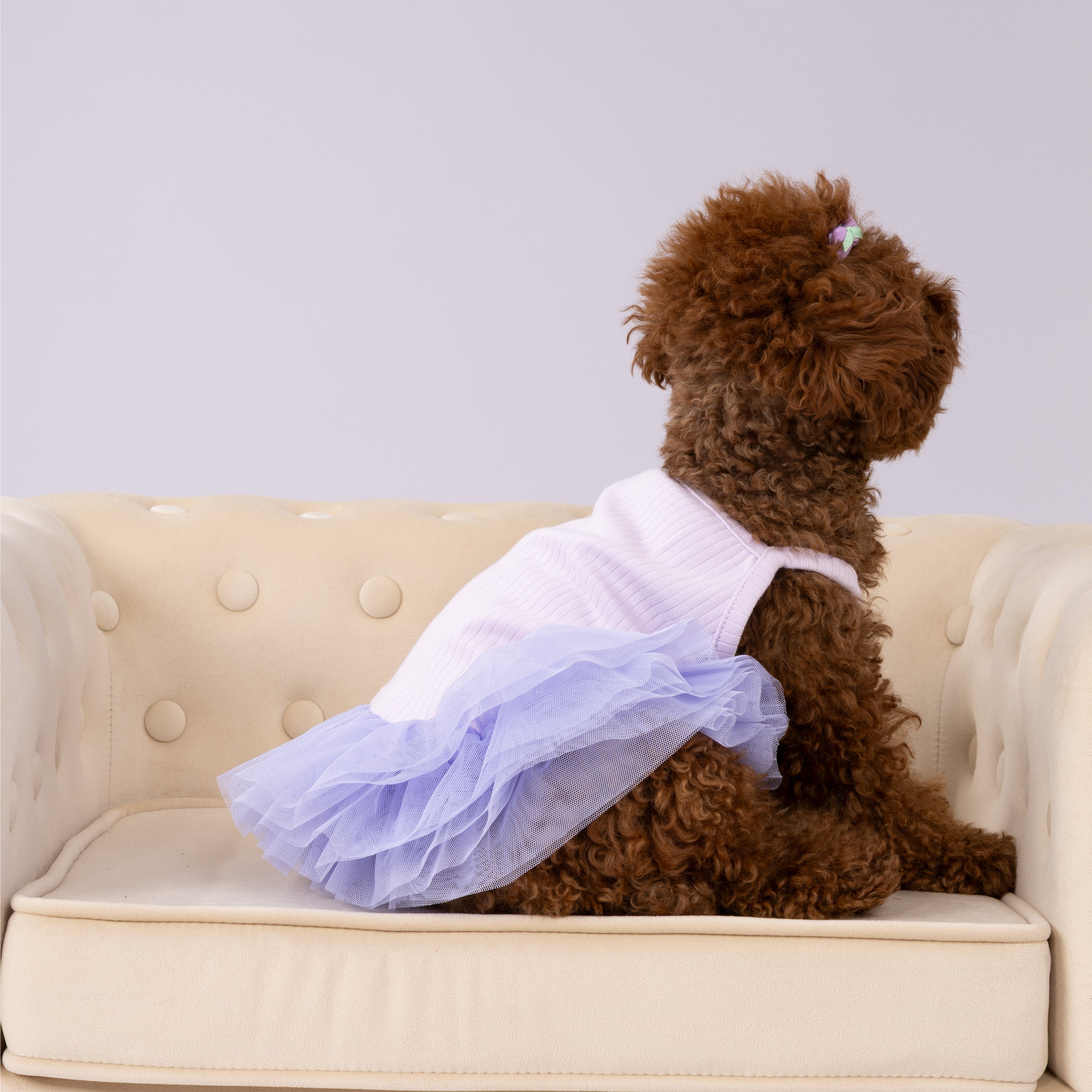 Strappy Dress with Tutu Skirt for Pets