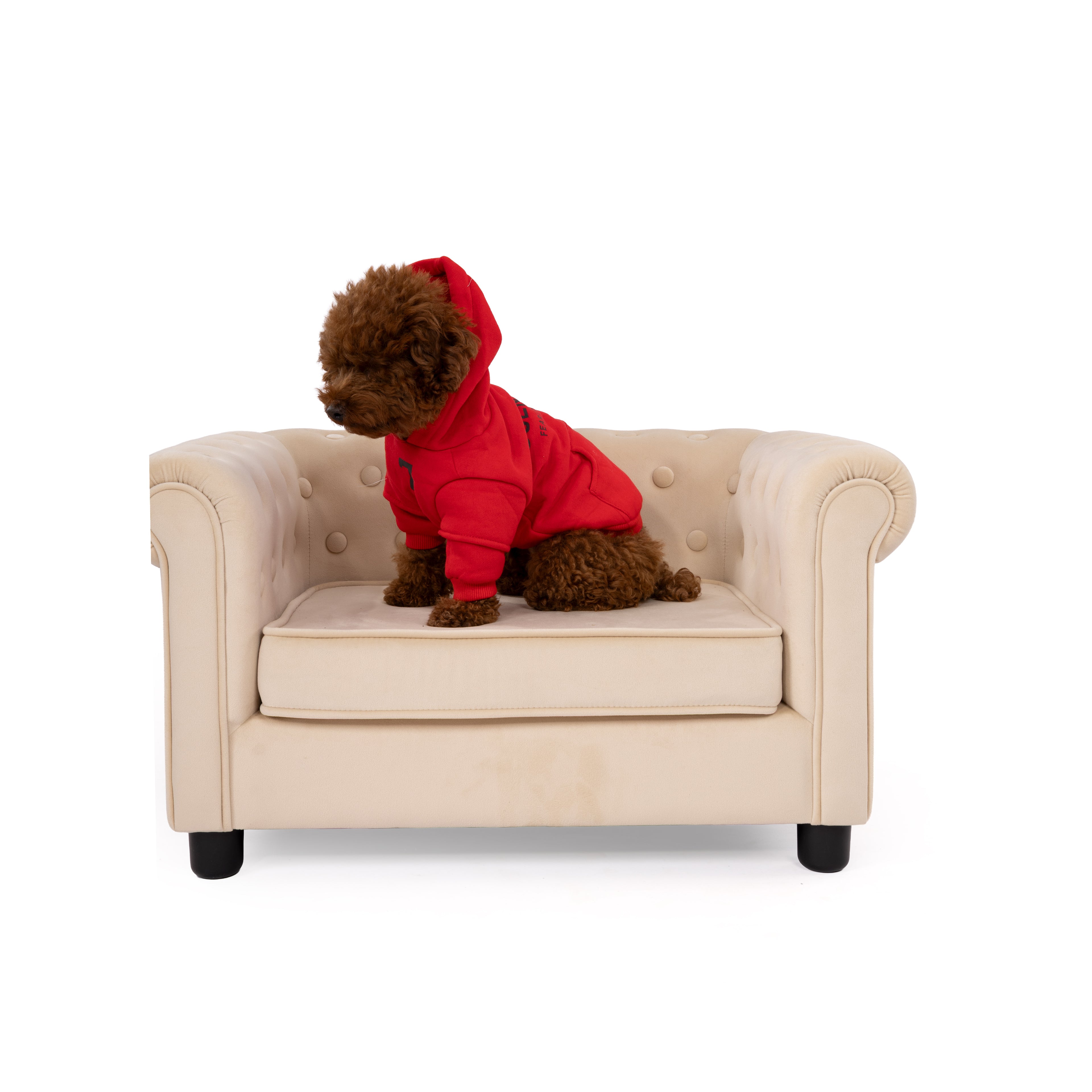 Designer Sweatshirt with Hood