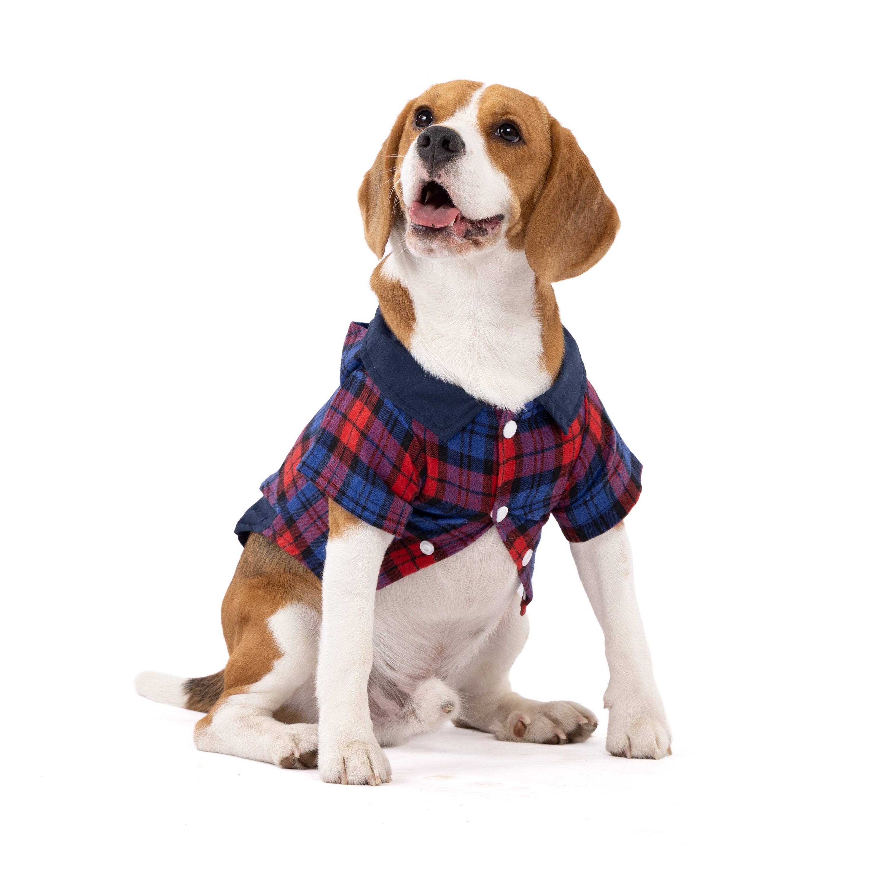 Classic Checkered Pet Shirt