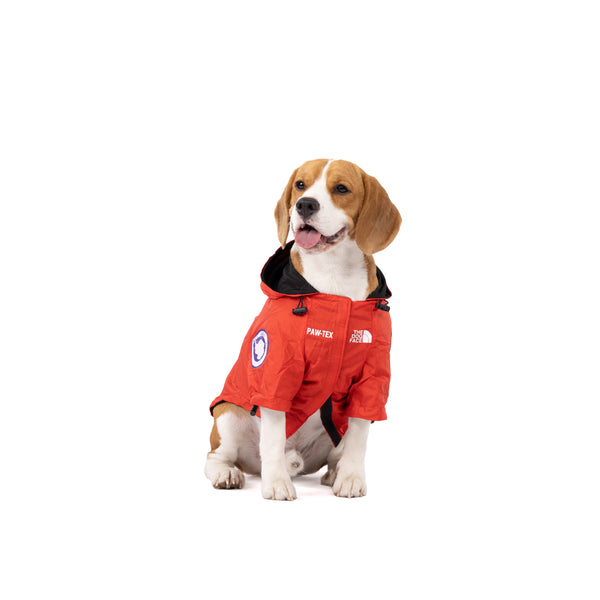 Waterproof Windproof Dog Raincoat with Hood
