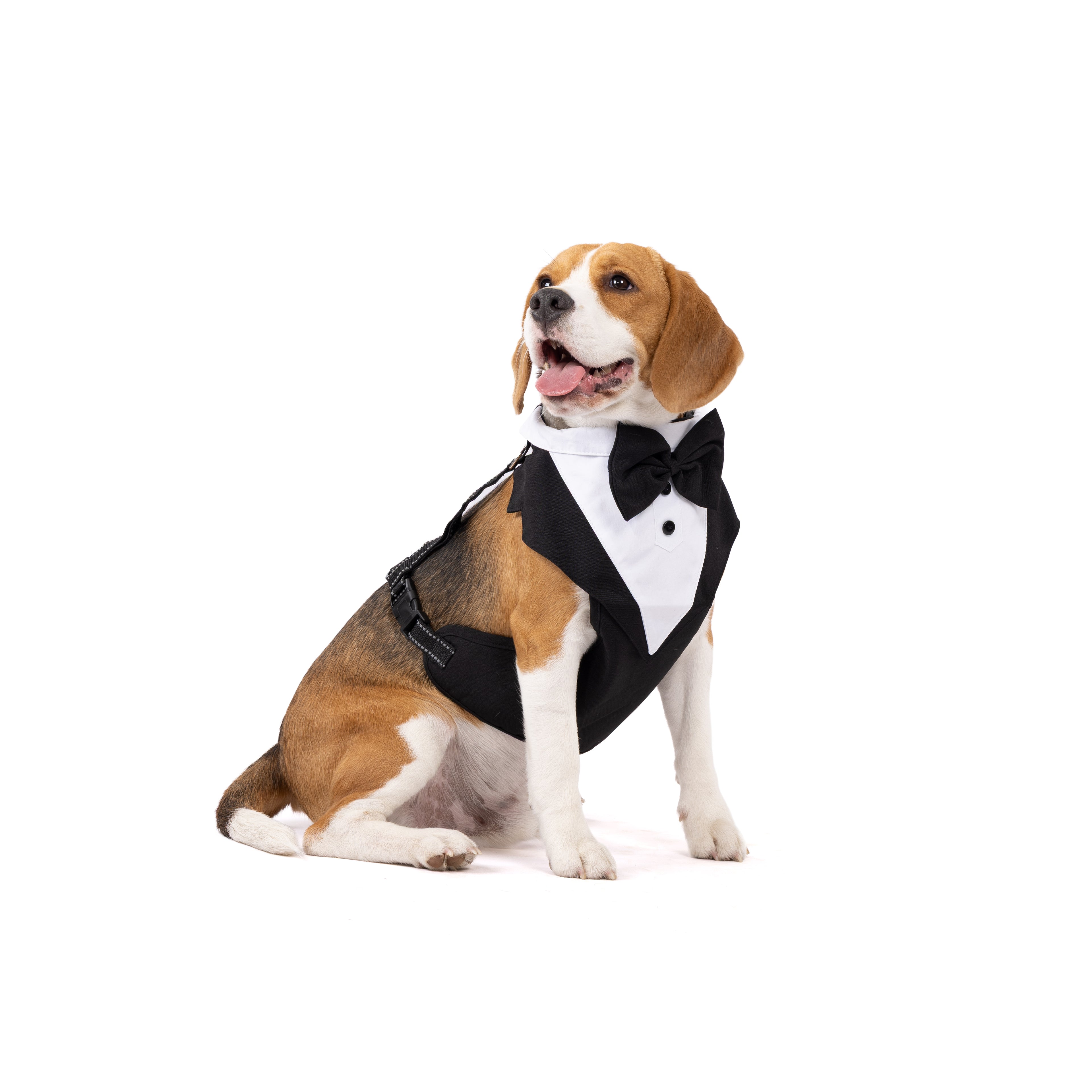 Classic Gentleman Pet Tuxedo Outfit