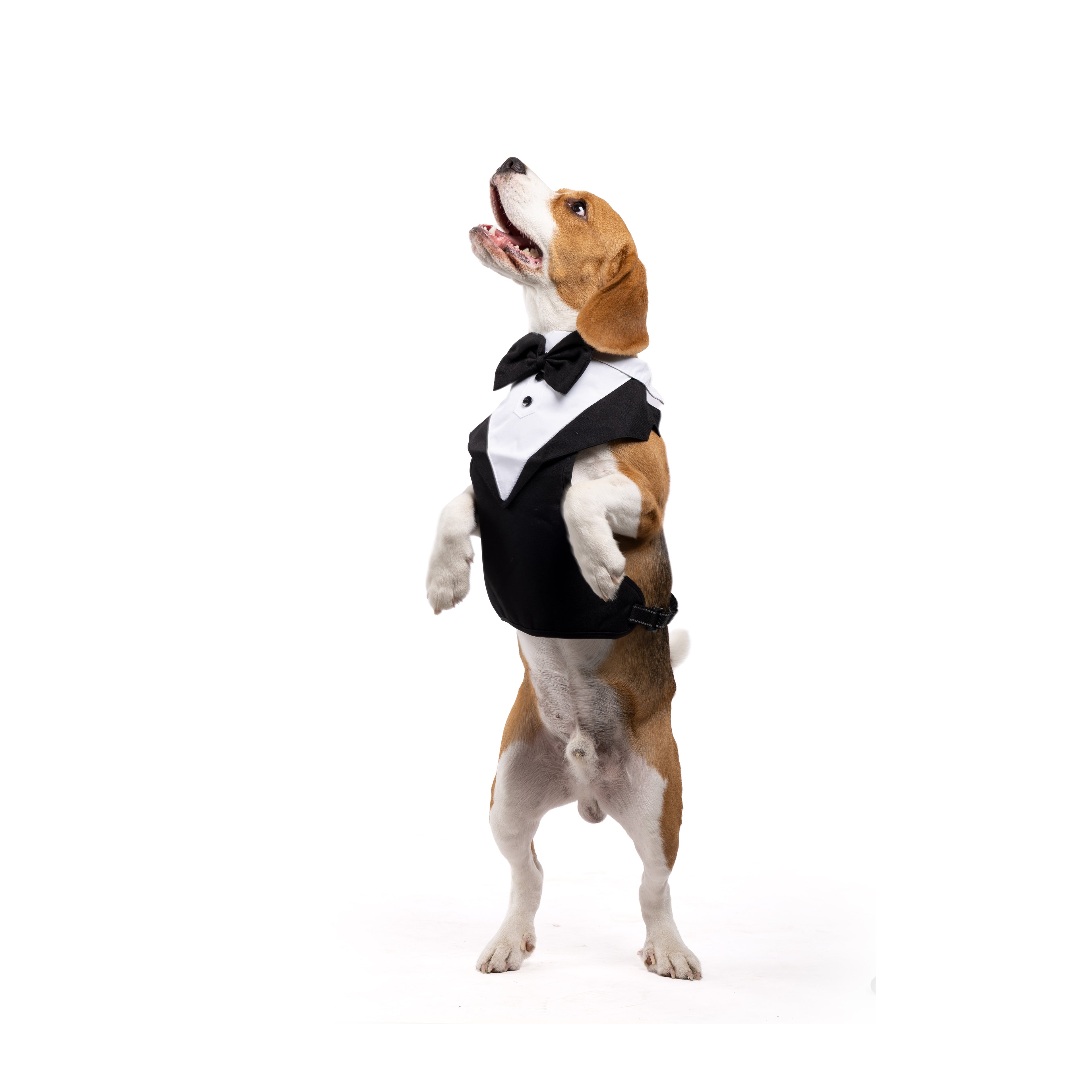 Classic Gentleman Pet Tuxedo Outfit