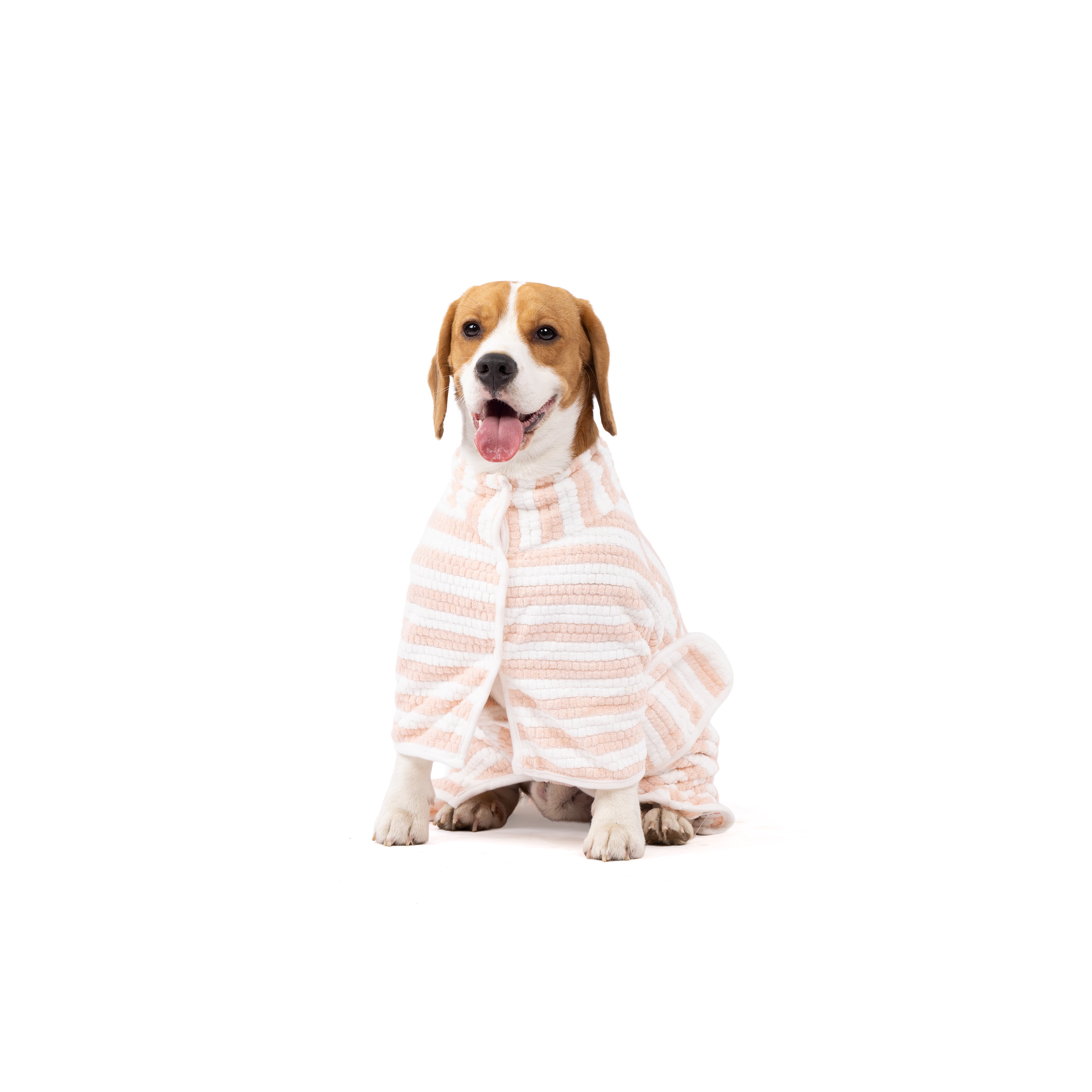 Dog wearing a striped pink and white bath robe on a white background