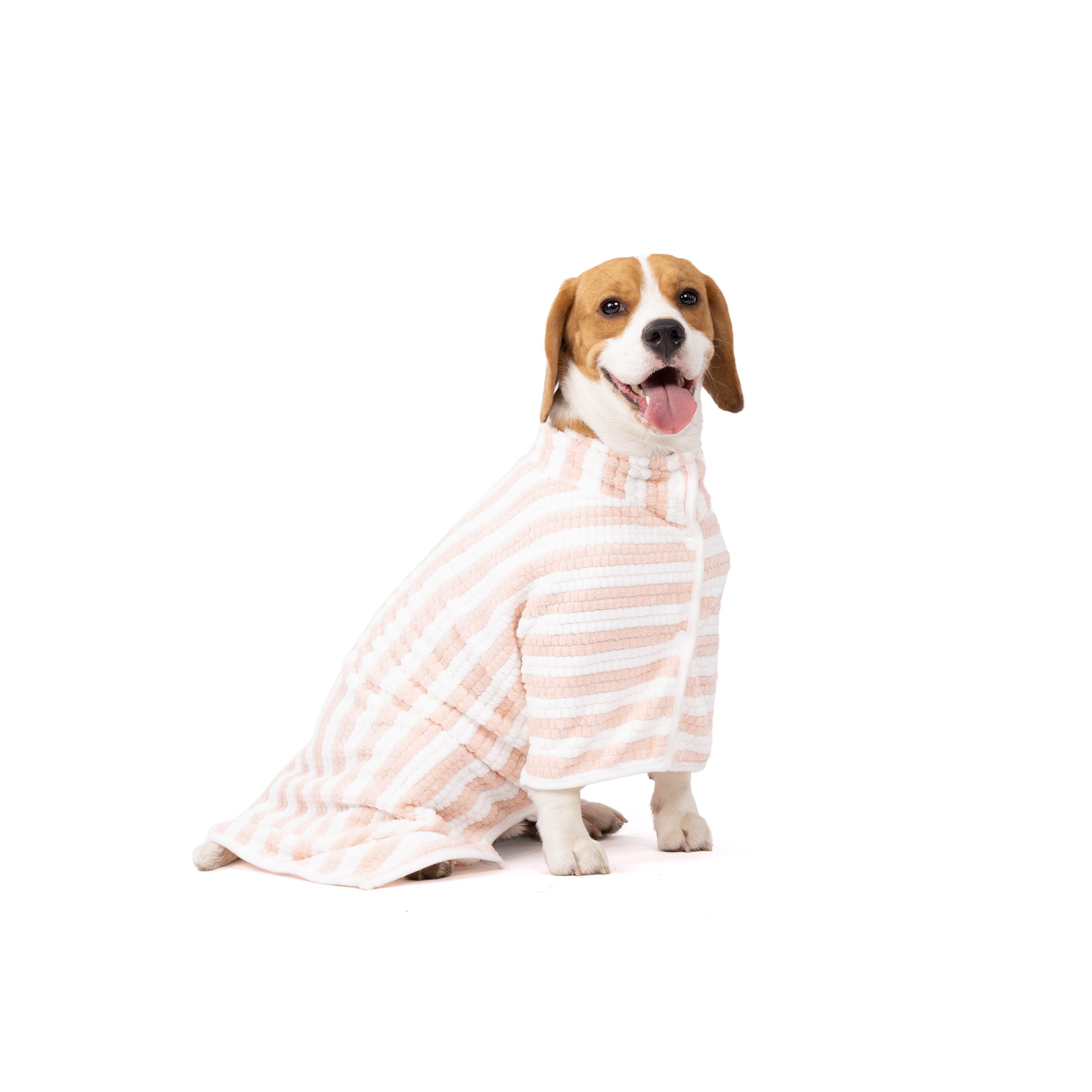 Dog wearing a striped pink and white bath robe on a white background