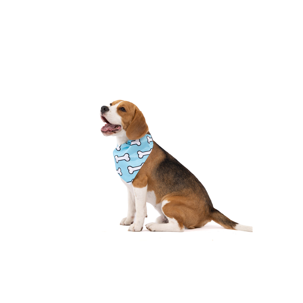 Printed Everyday Pet Bandana