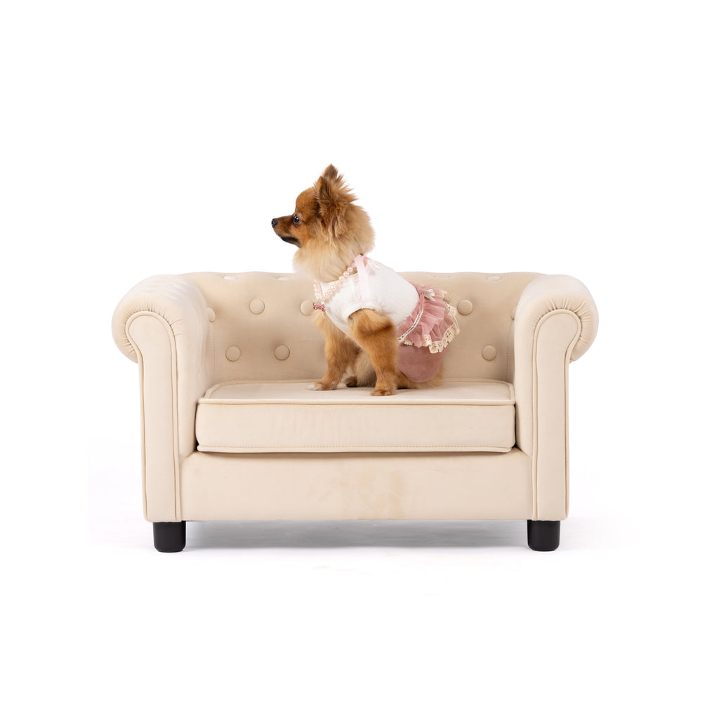 Blush Lace Princess Pet Dress