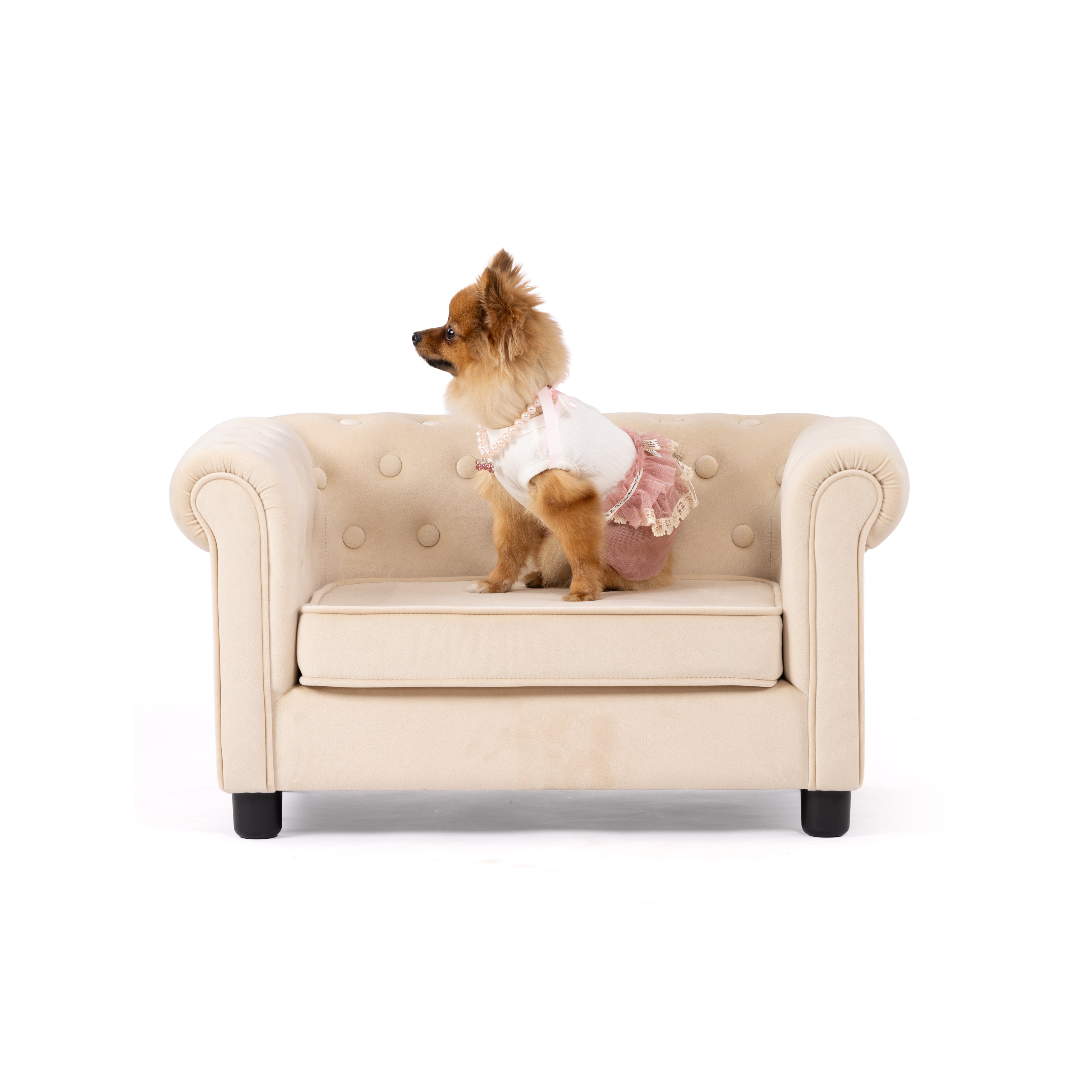 Blush Lace Princess Pet Dress