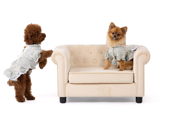 Willow Lace Vintage Pet Dress