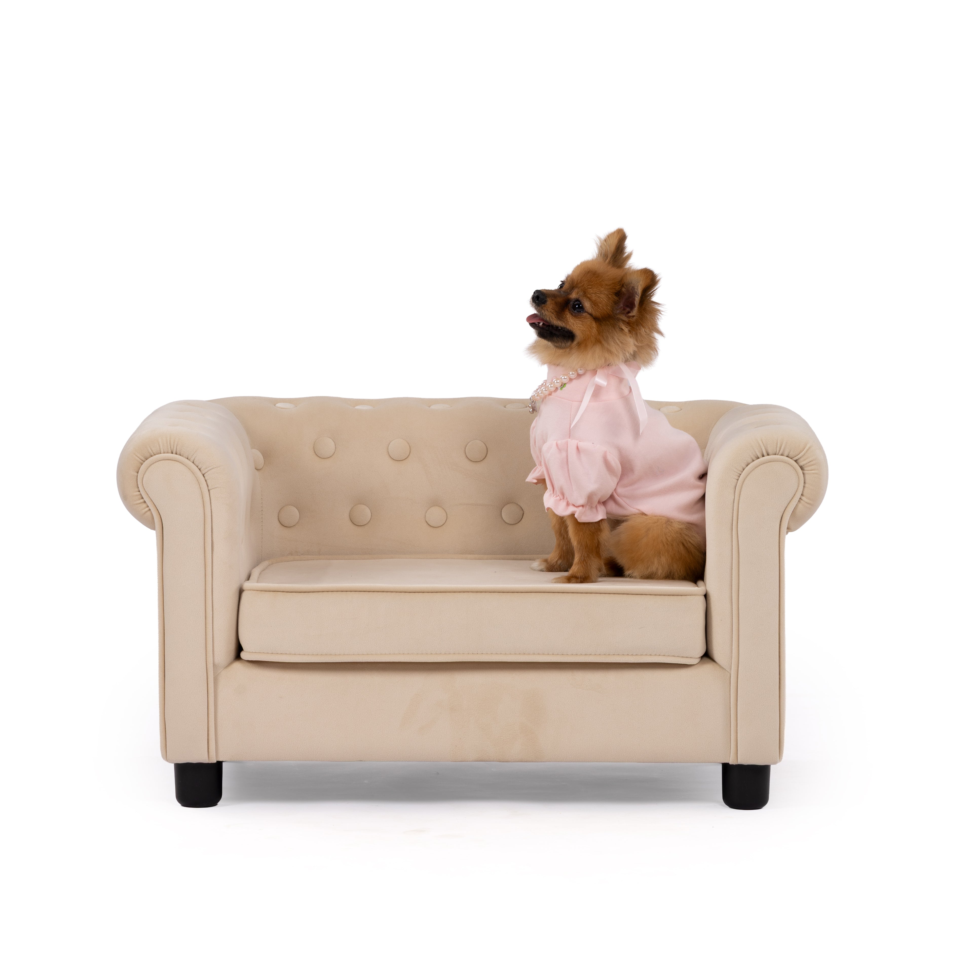 Blush Pearl Charm Pet Dress