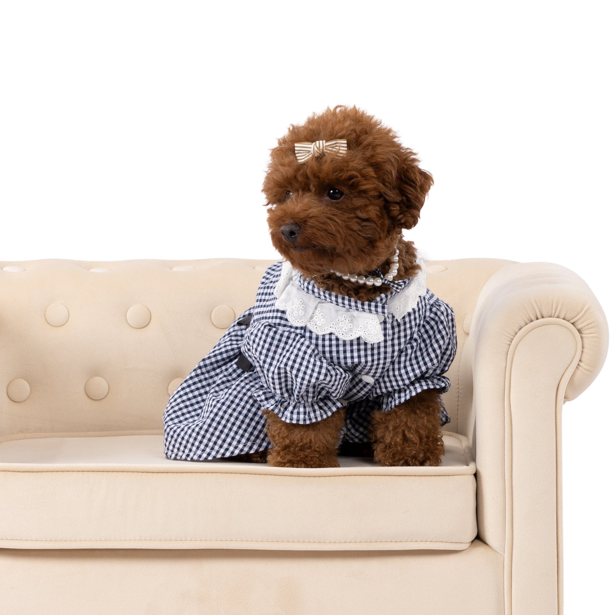 Classic Gingham Lace Dress