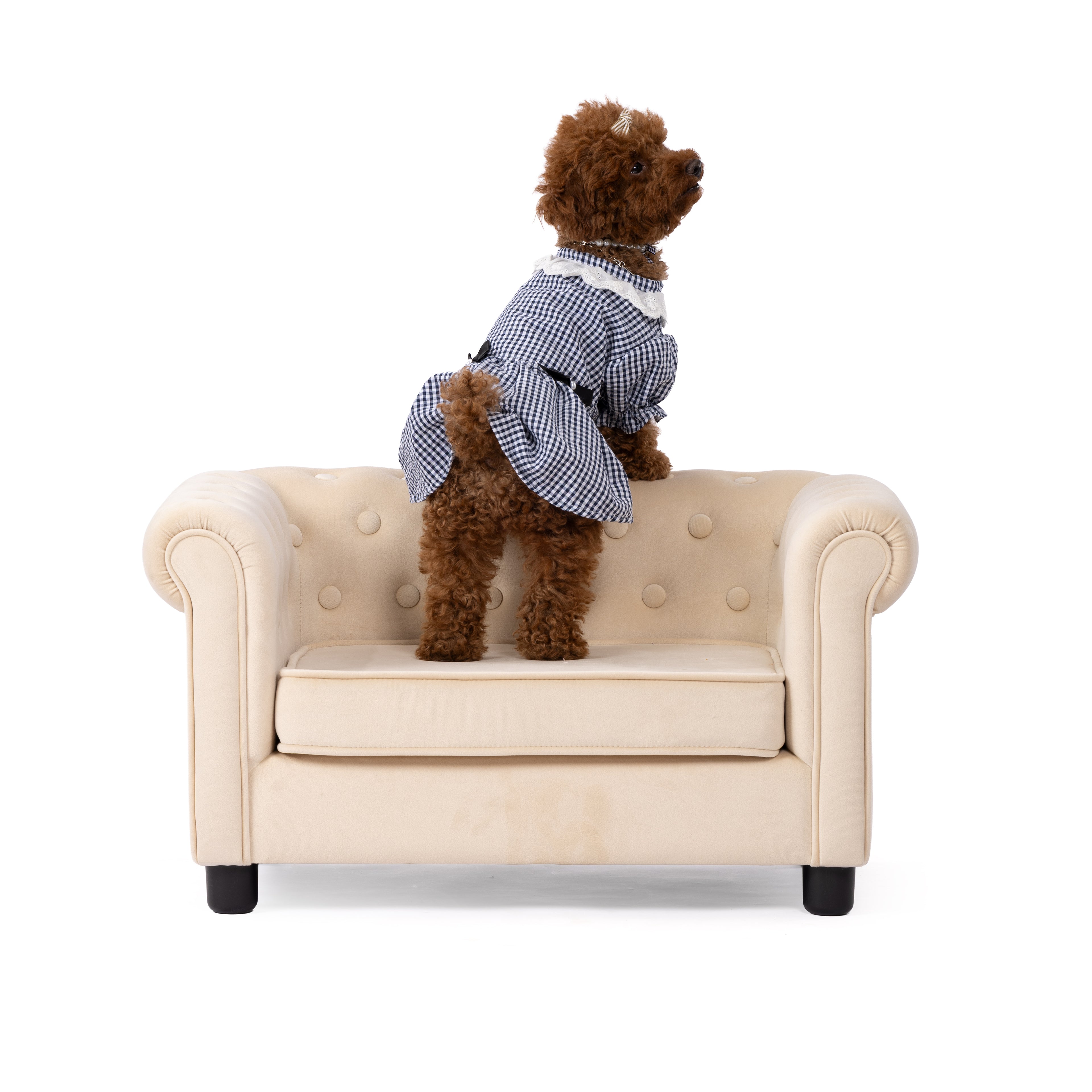 Classic Gingham Lace Dress