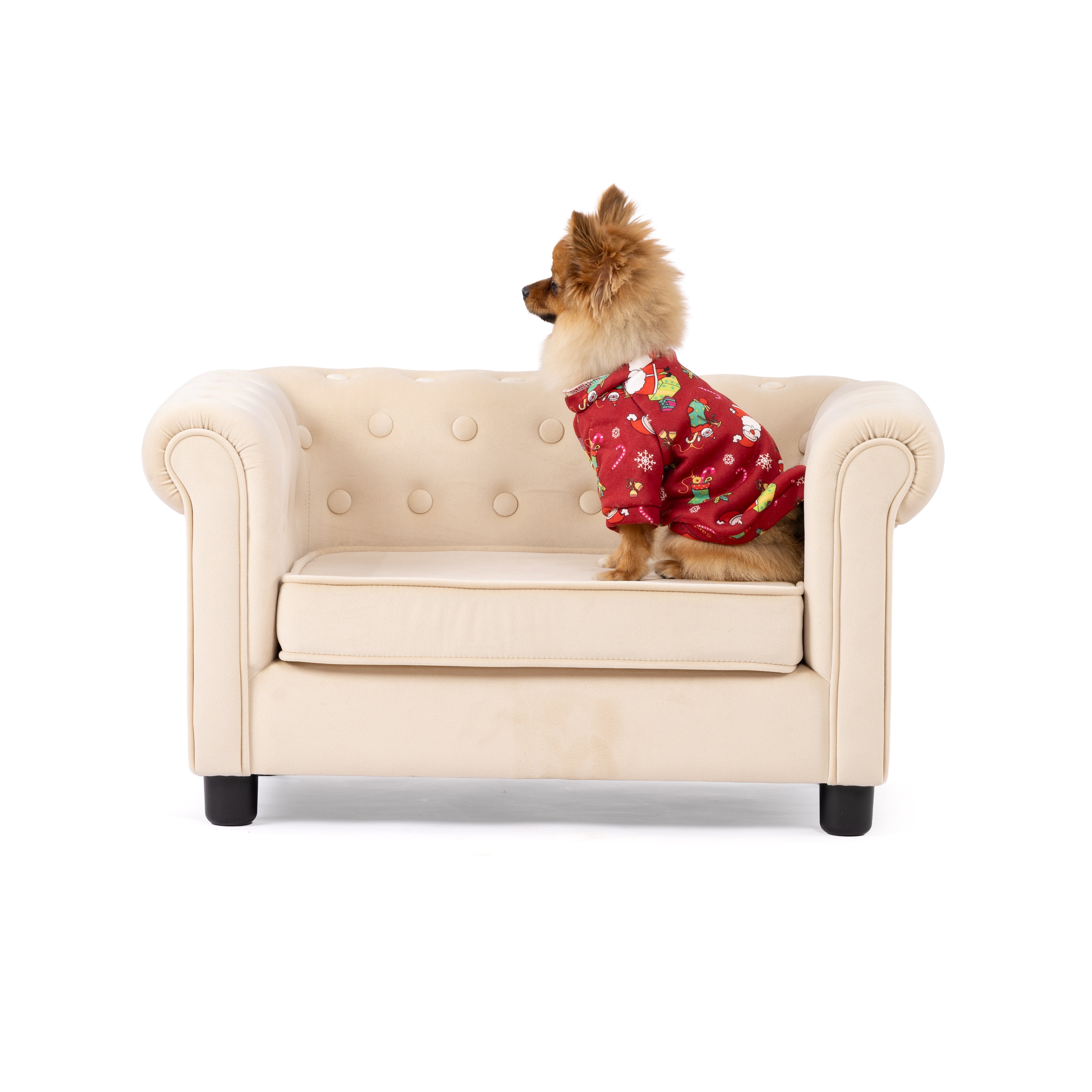 Merry Paws Christmas Printed Sweatshirt