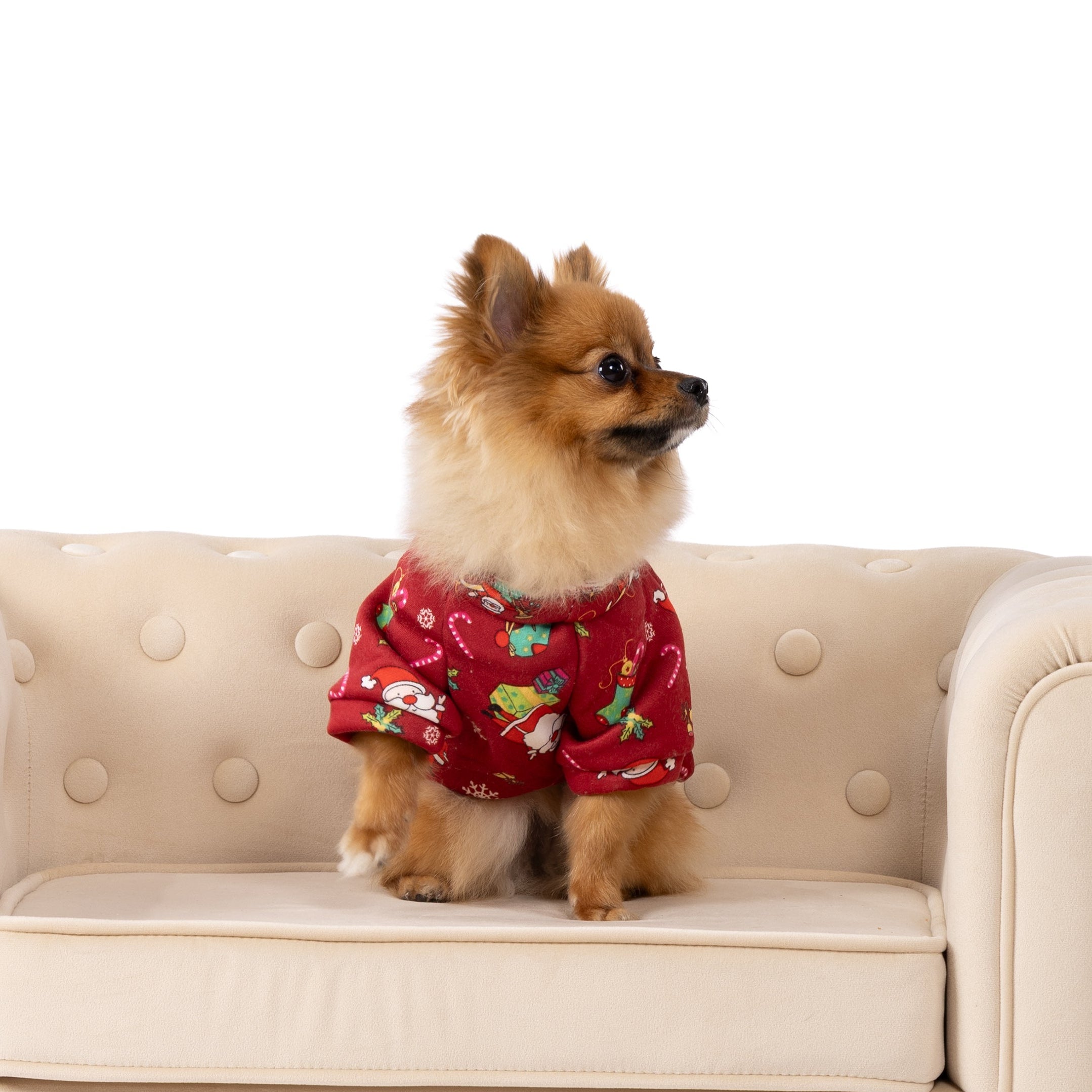 Merry Paws Christmas Printed Sweatshirt