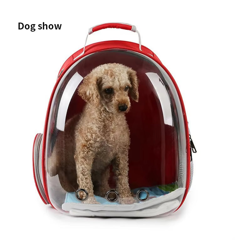 Transparent Bubble Pet Backpack Carrier
