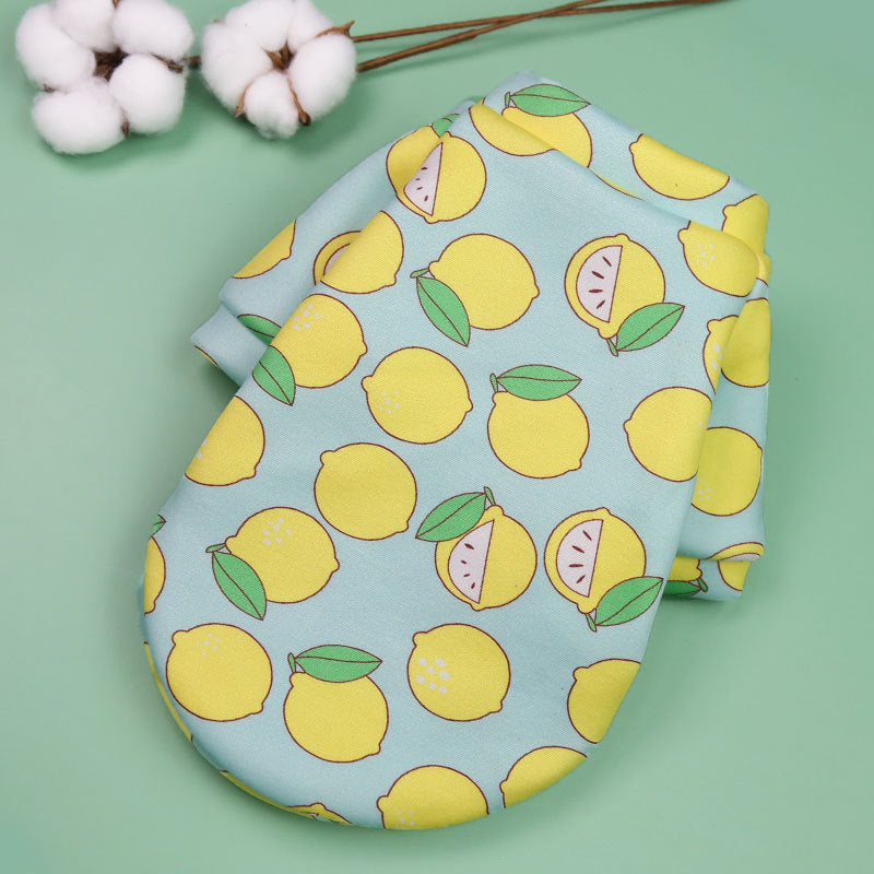 Everyday Comfort Pet Sweatshirt– Soft Printed Tee for Dogs