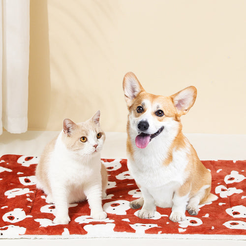 CozyPaws All-Season Pet Mat