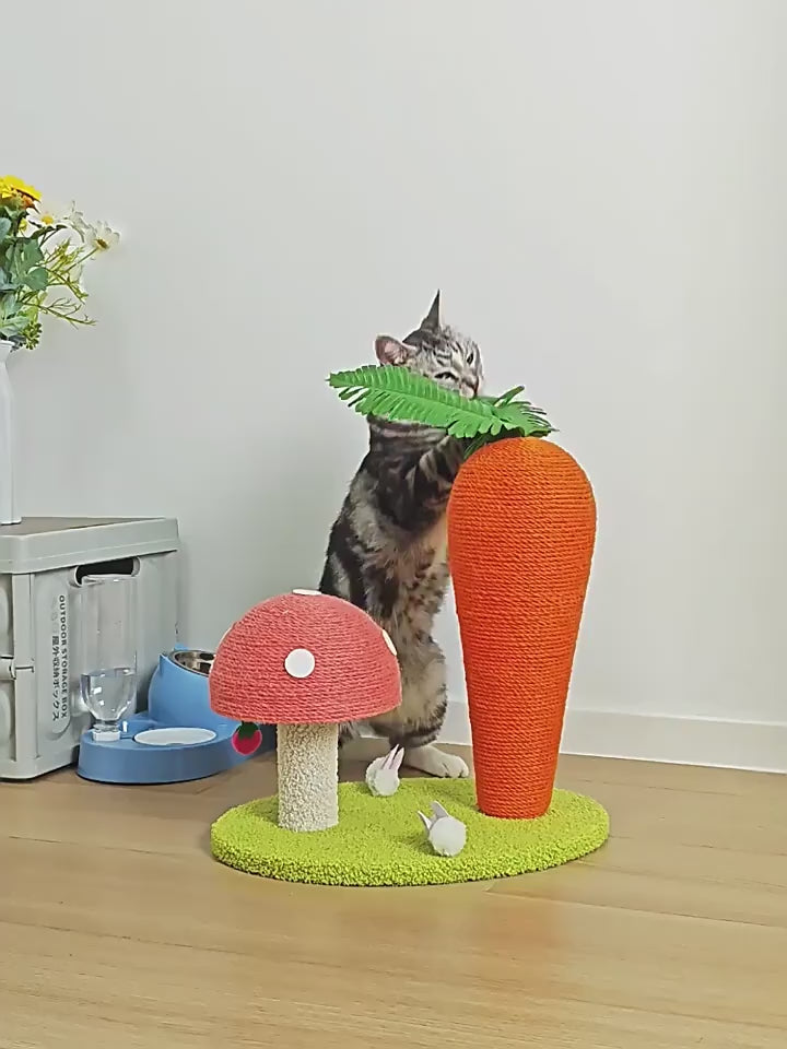 Radish Garden Cat Scratcher – Playful Scratch & Climb Station