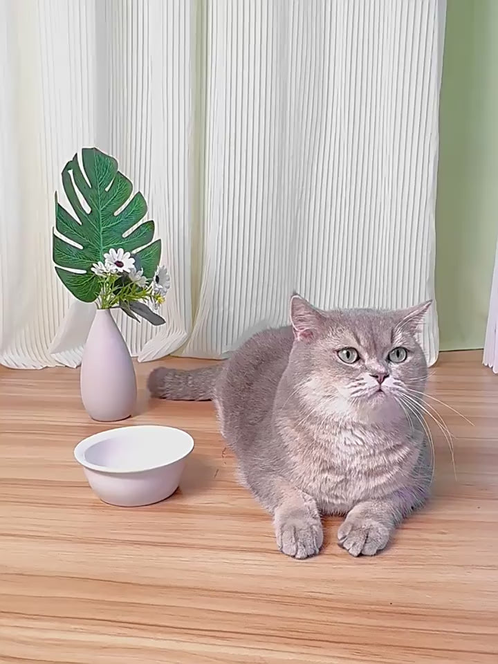 Automatic Gravity Pet Feeder with Water Dispenser